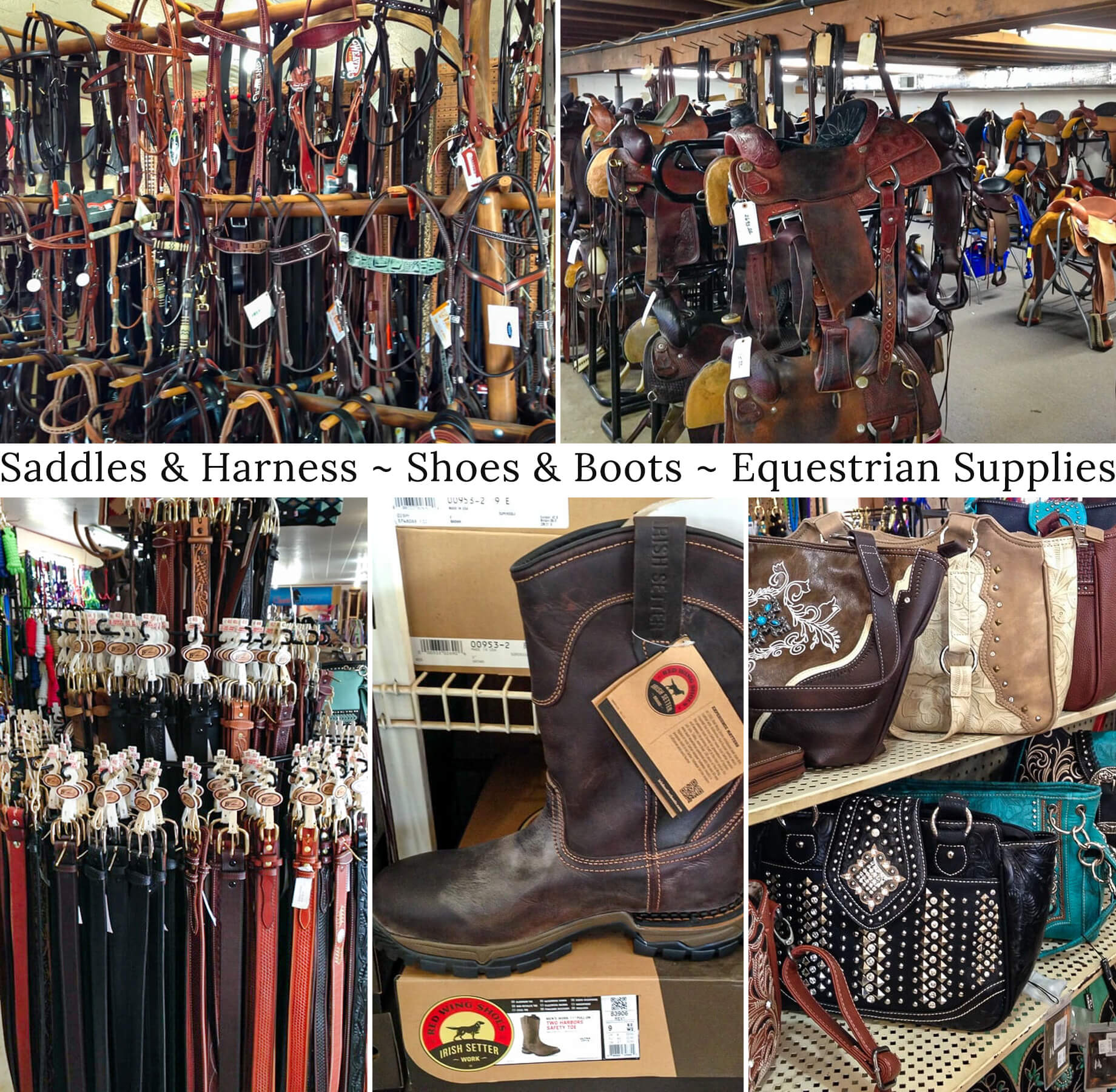 Horse deals tack store