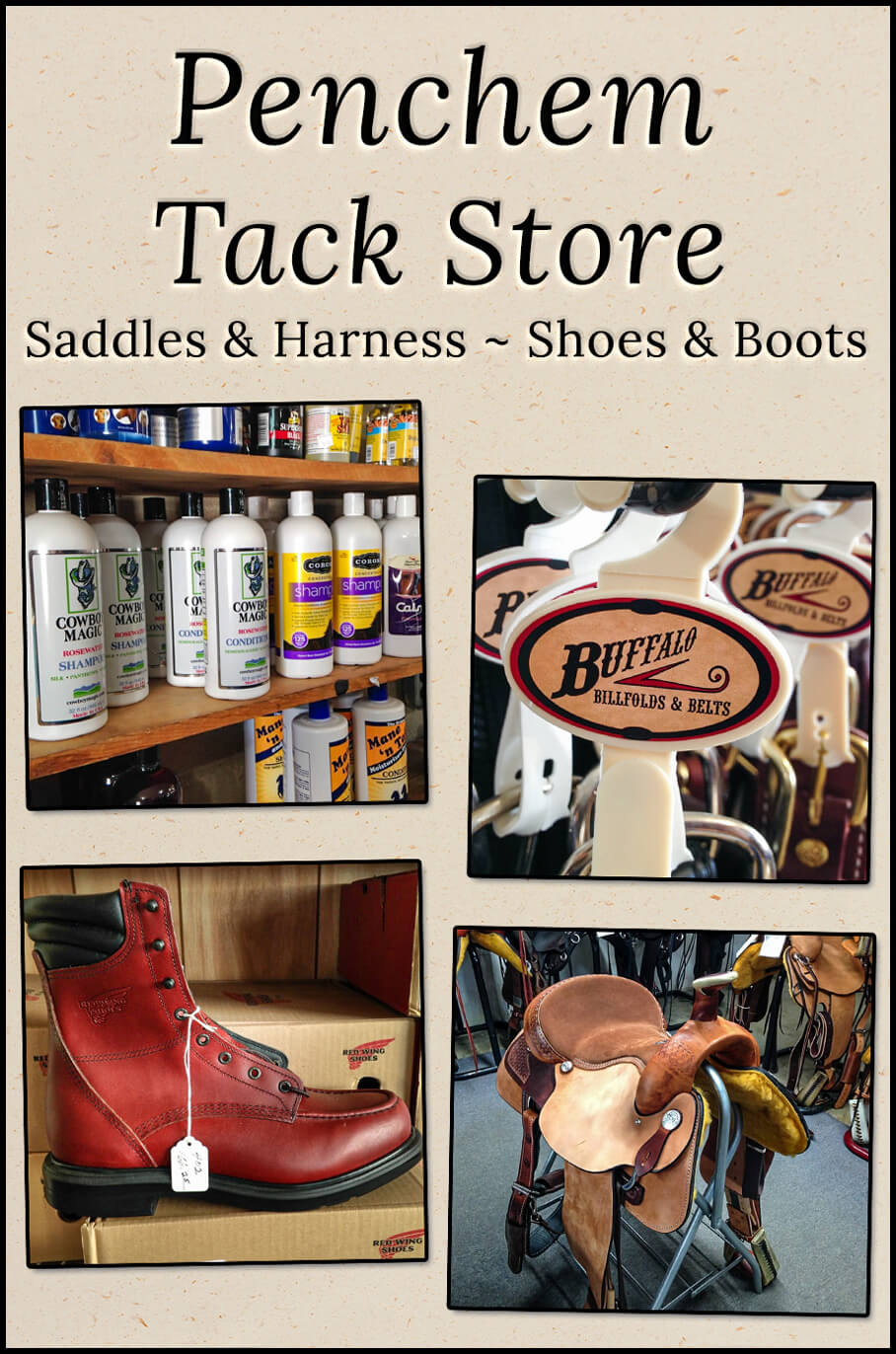 Collage of Penchem Tack Store's Products