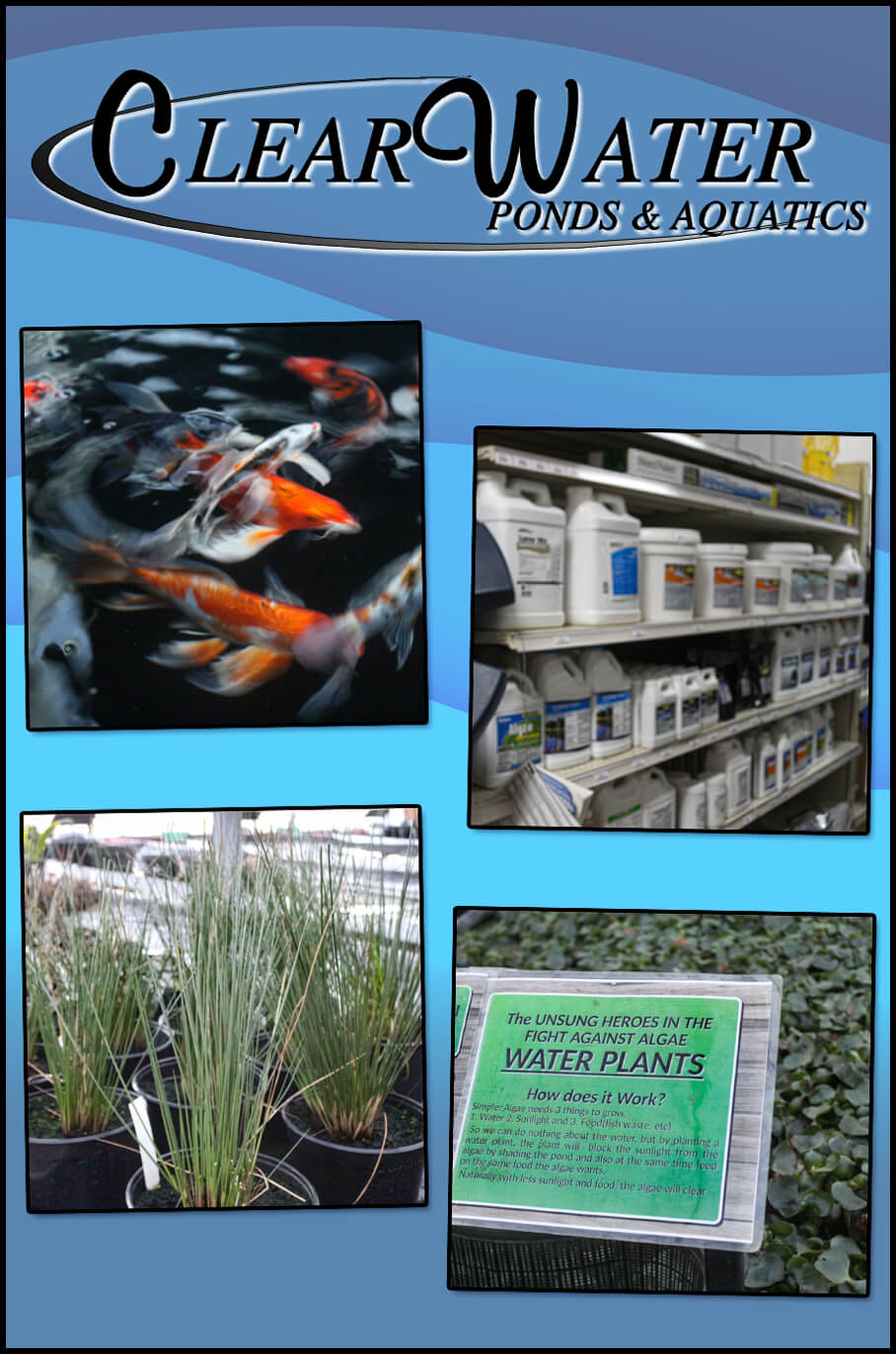 Collage of Clearwater Ponds & Aquatic's Products