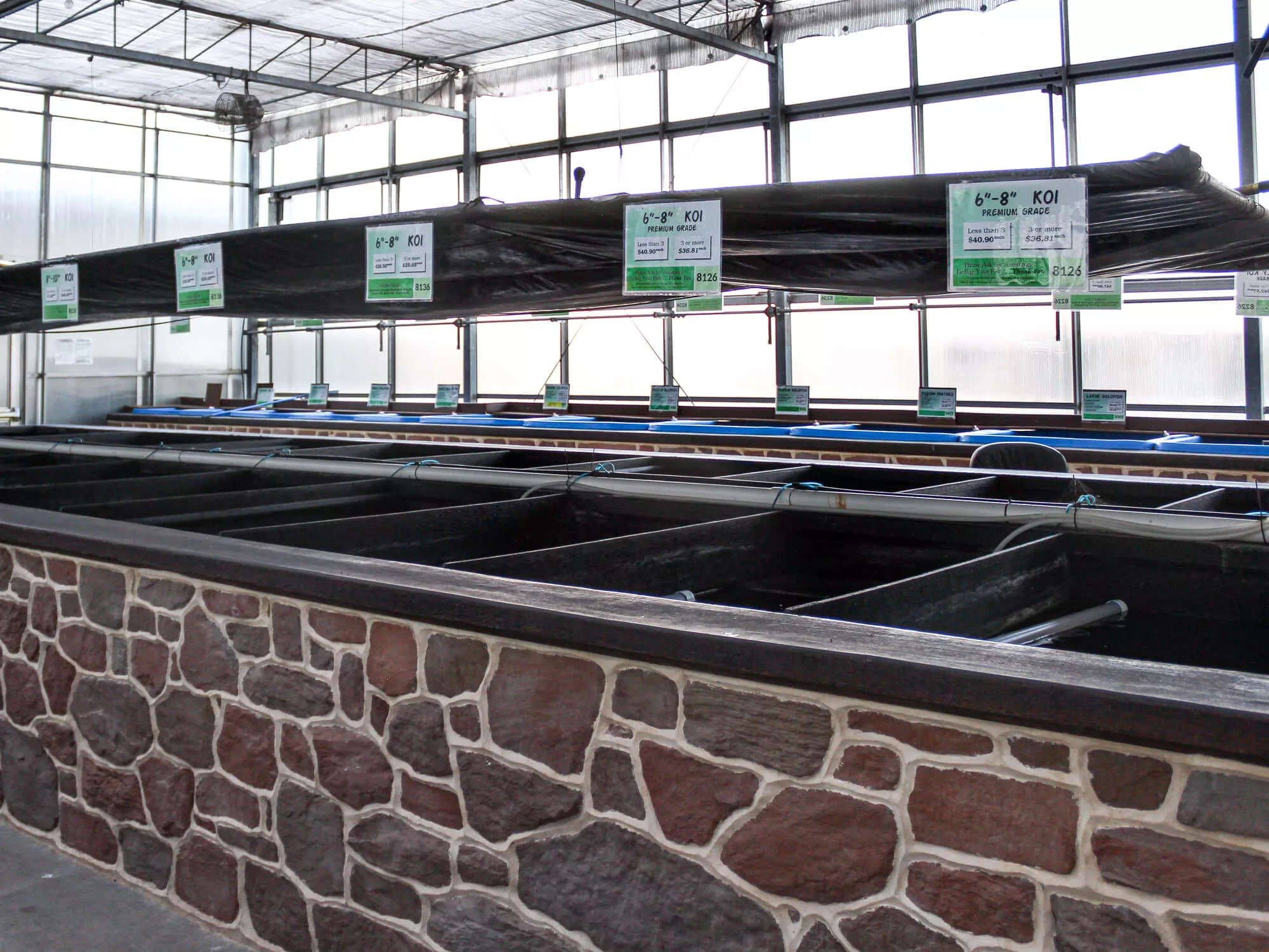 Clearwater Ponds & Aquatics Just Plain Business