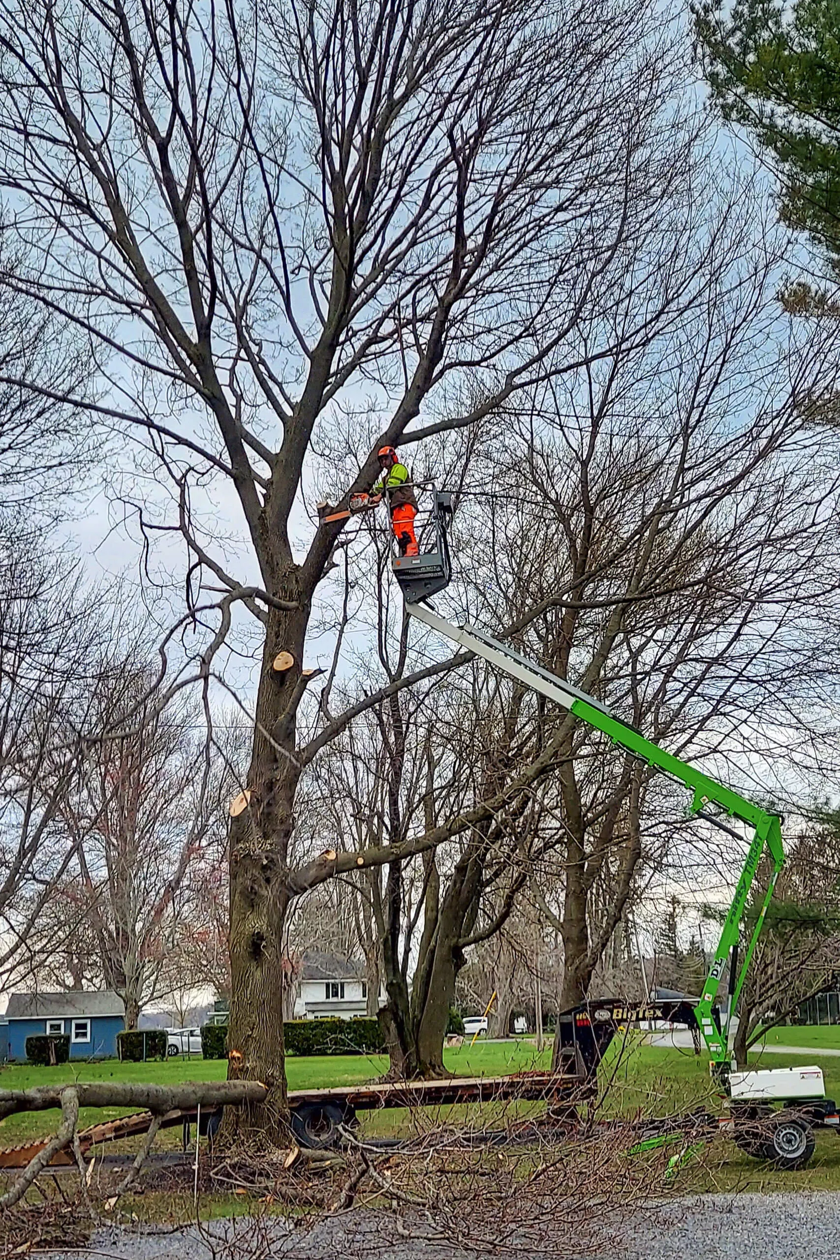 Lake Country Logging & Firewood Just Plain Business