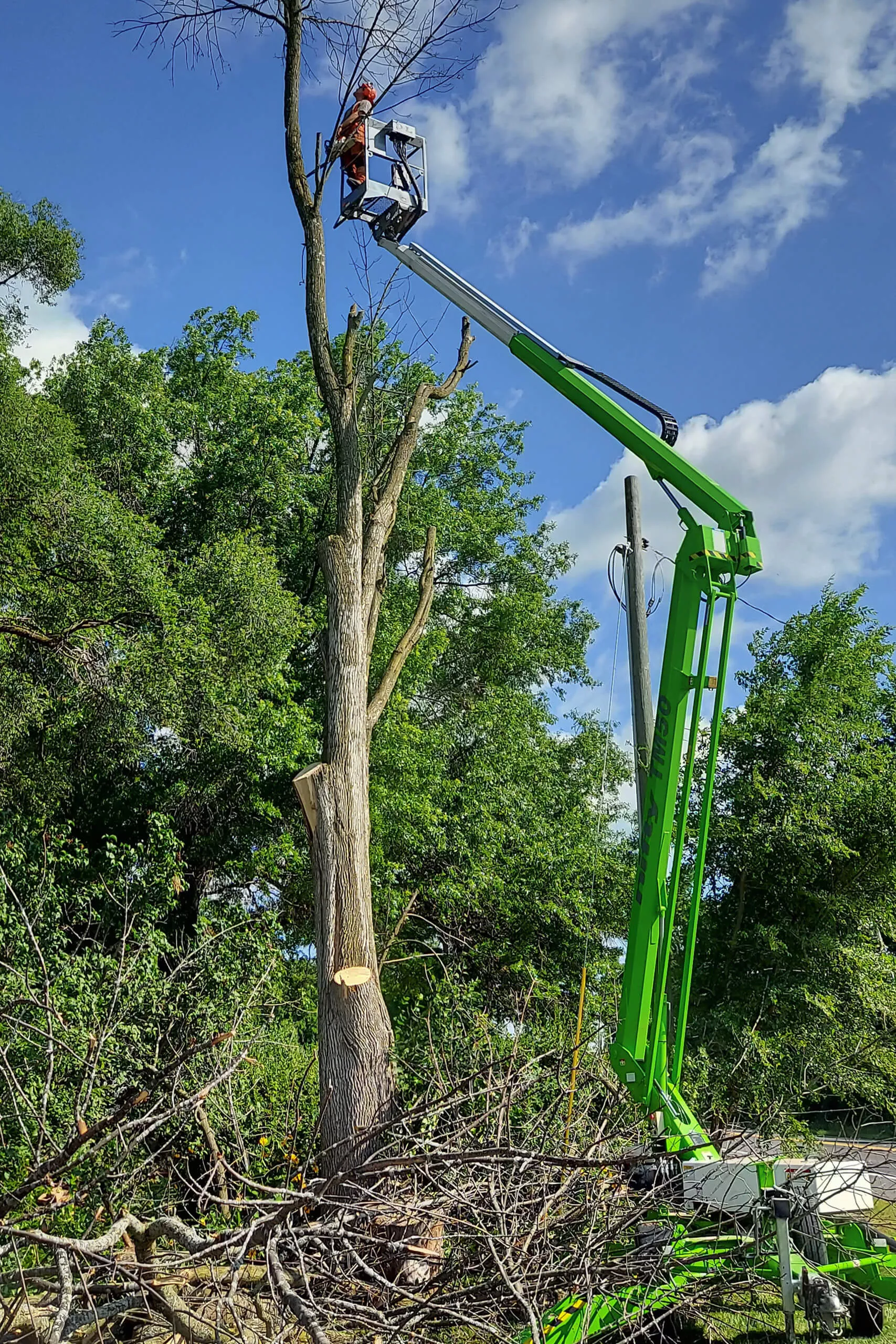Lake Country Logging & Firewood Just Plain Business
