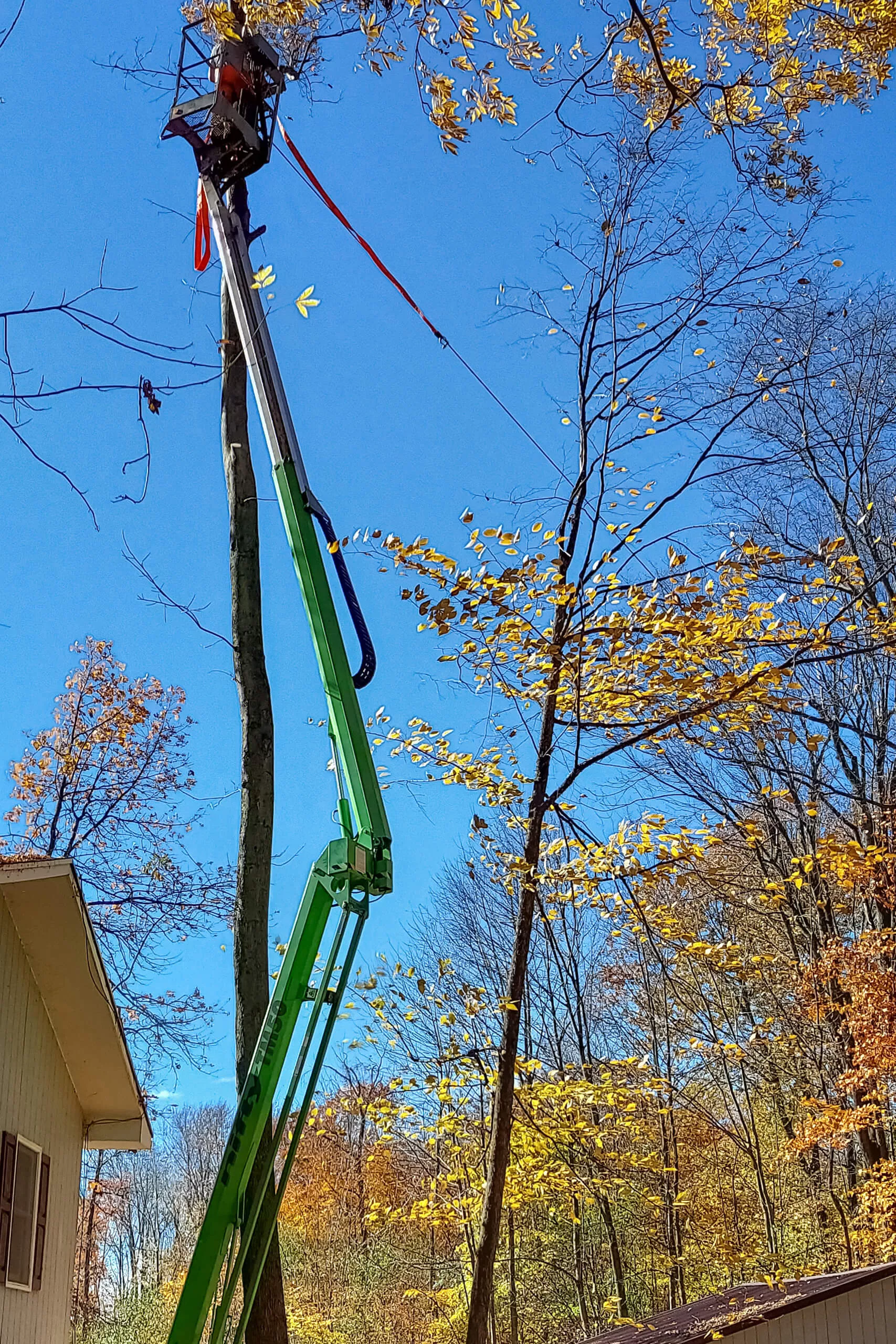 Lake Country Logging & Firewood Just Plain Business