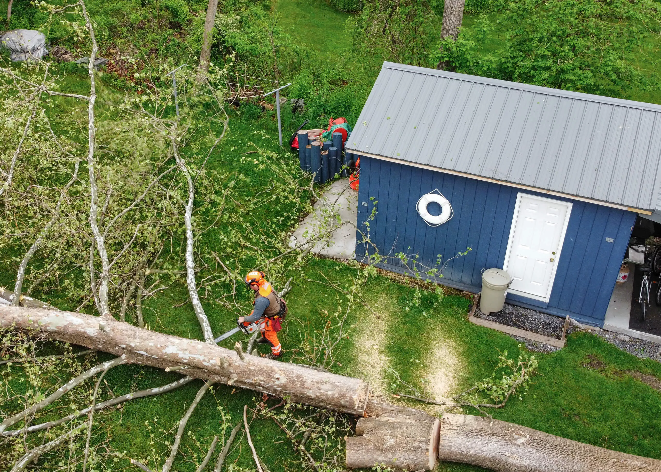 Lake Country Logging & Firewood Just Plain Business