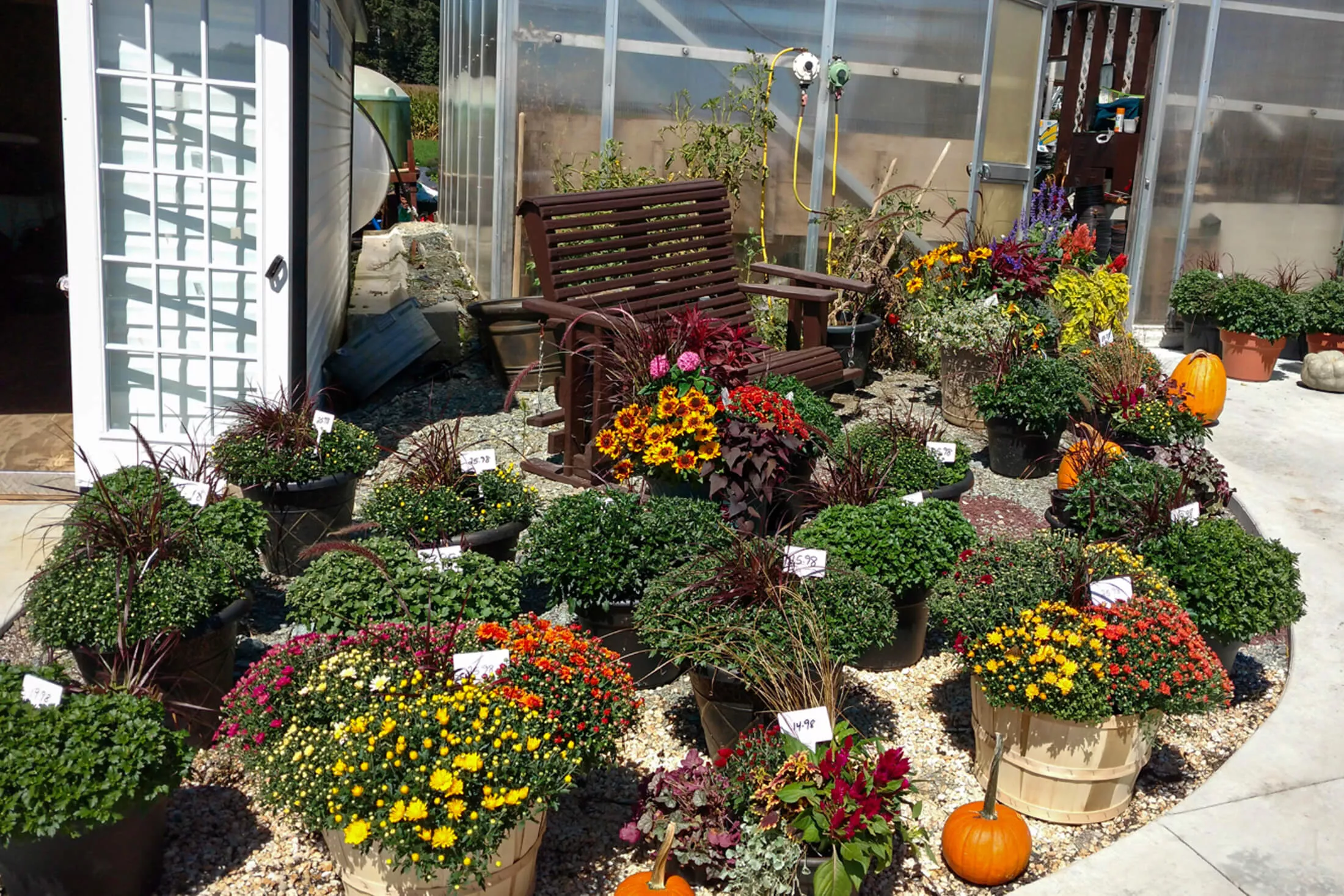 Lone Pine Greenhouse Just Plain Business