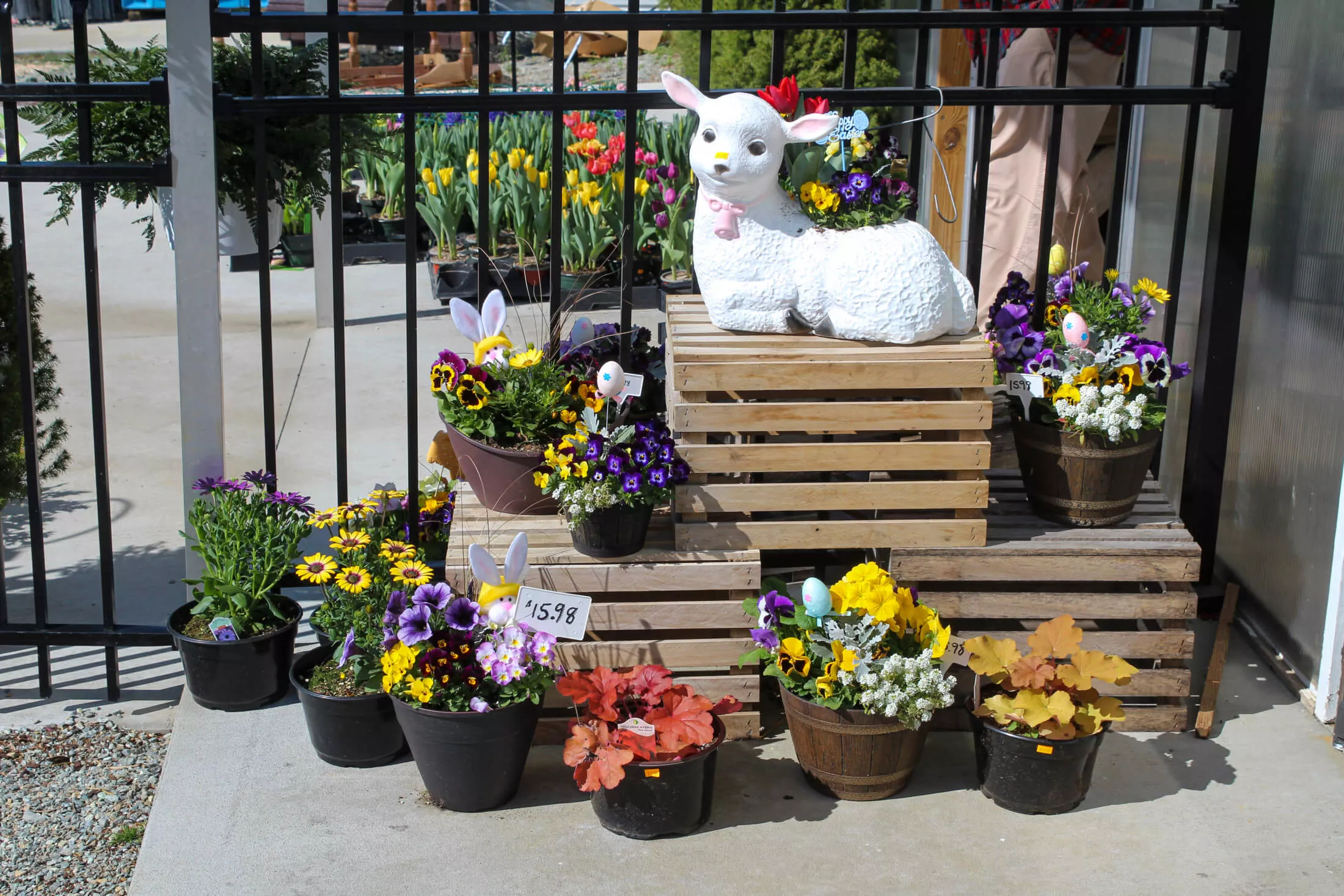 Lone Pine Greenhouse Just Plain Business