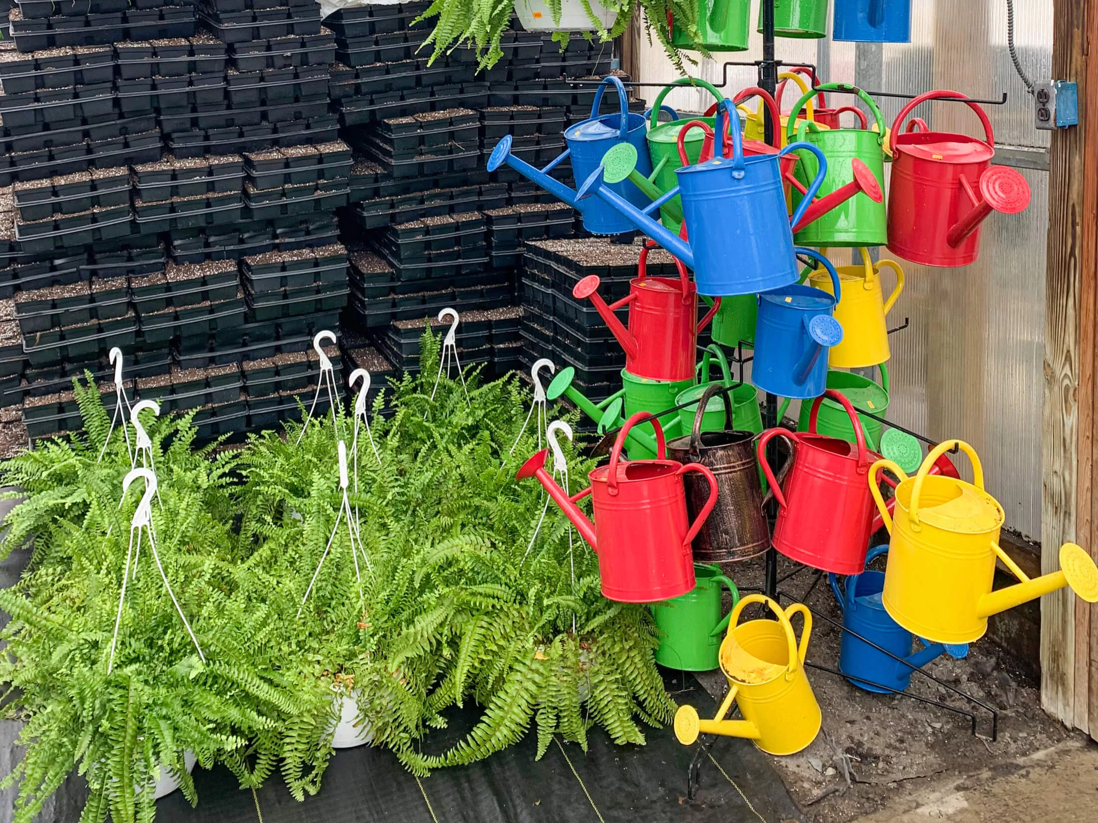 Greenleaf Greenhouses Just Plain Business