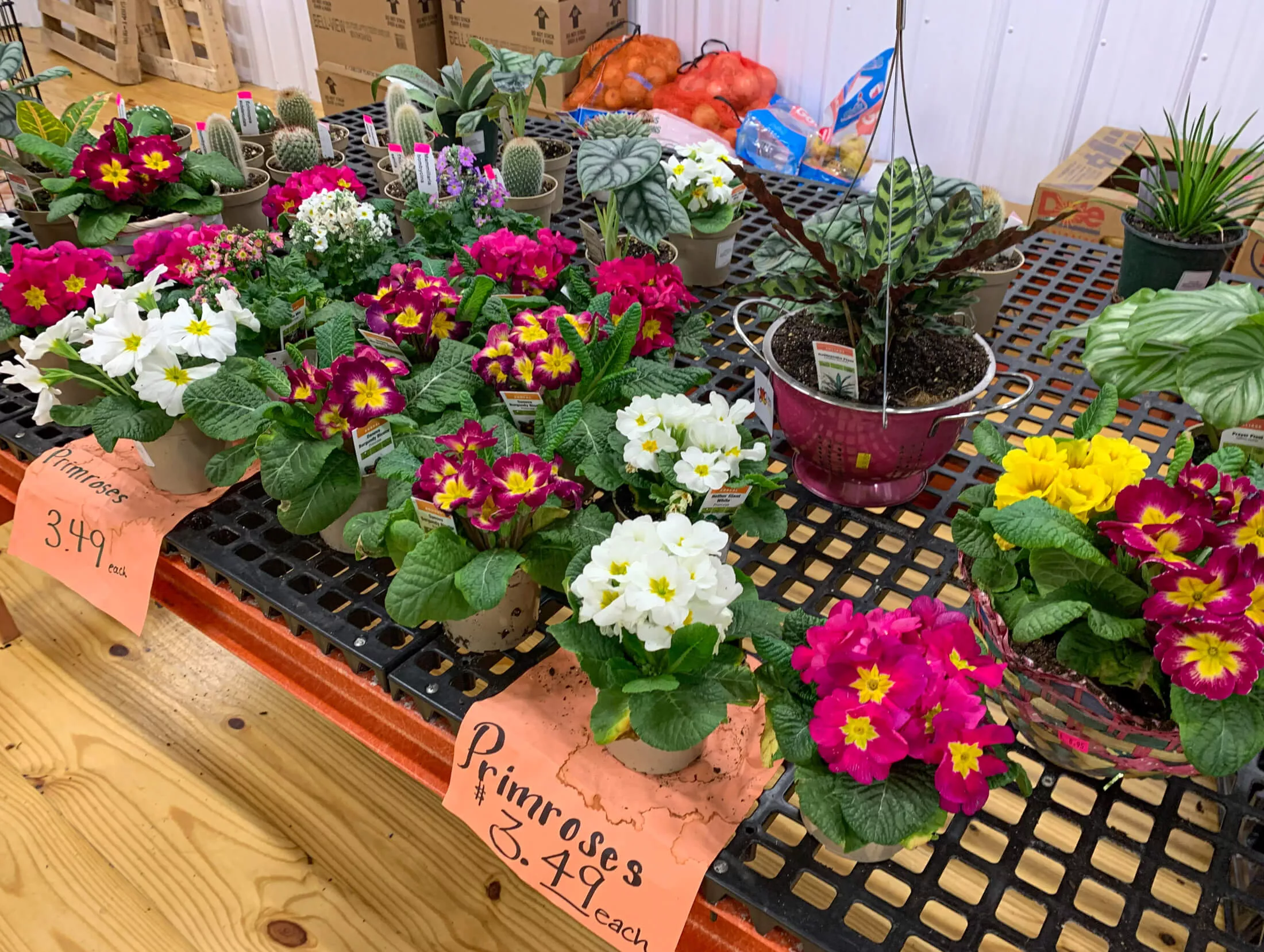 Sensenig Produce & Greenhouses Just Plain Business