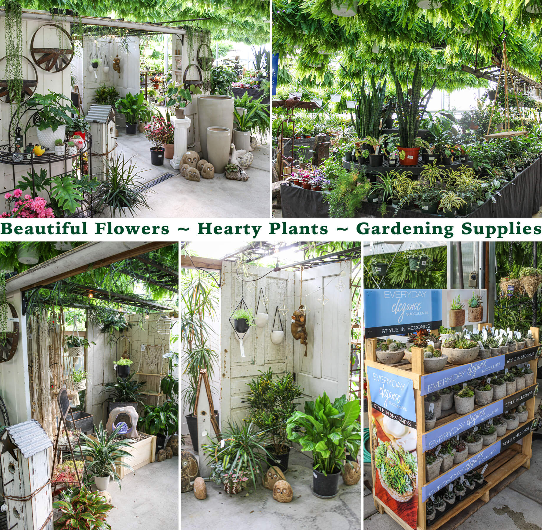 Collage of Richland Greenhouses Products