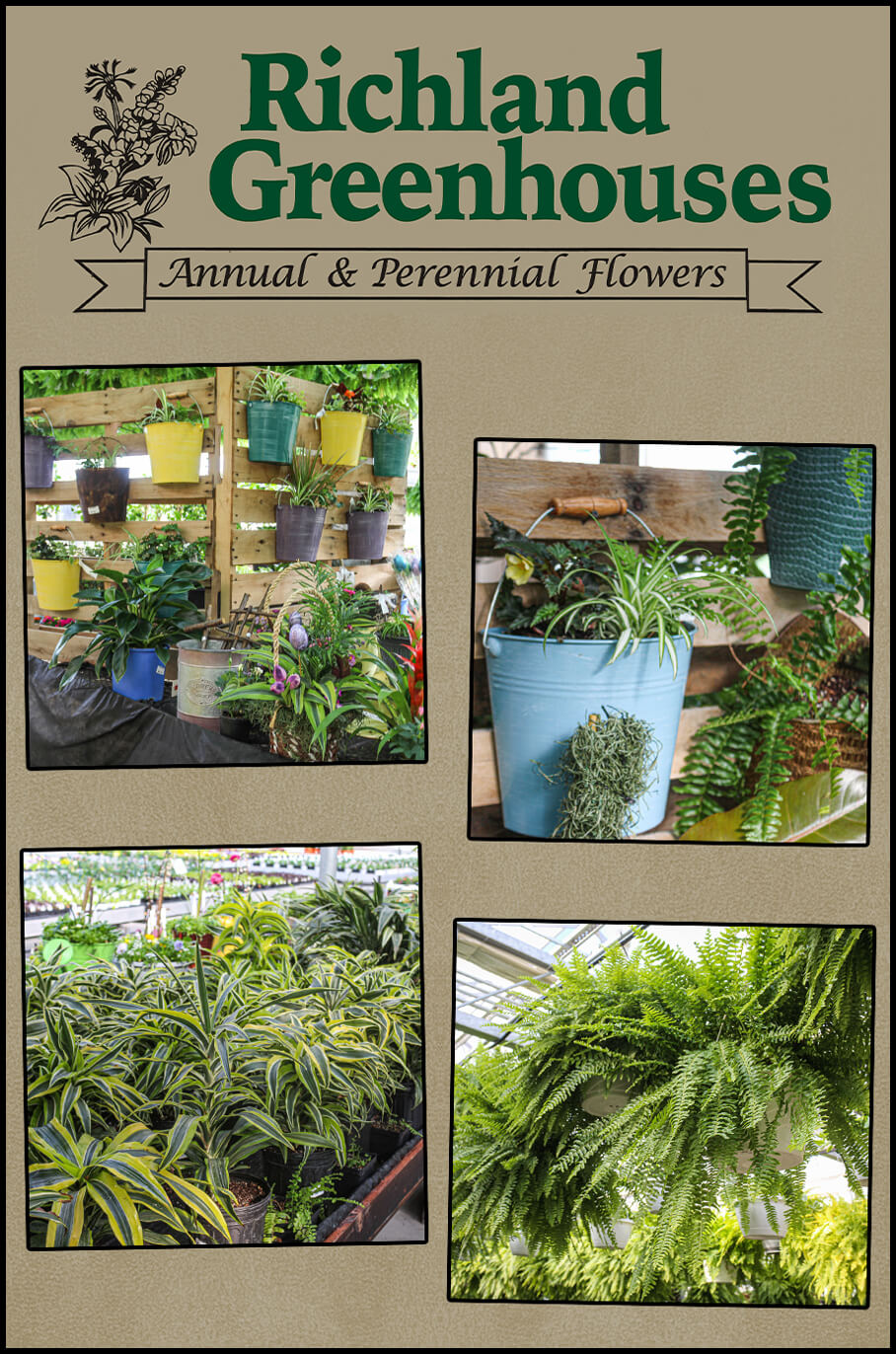 Collage of Richland Greenhouses Products