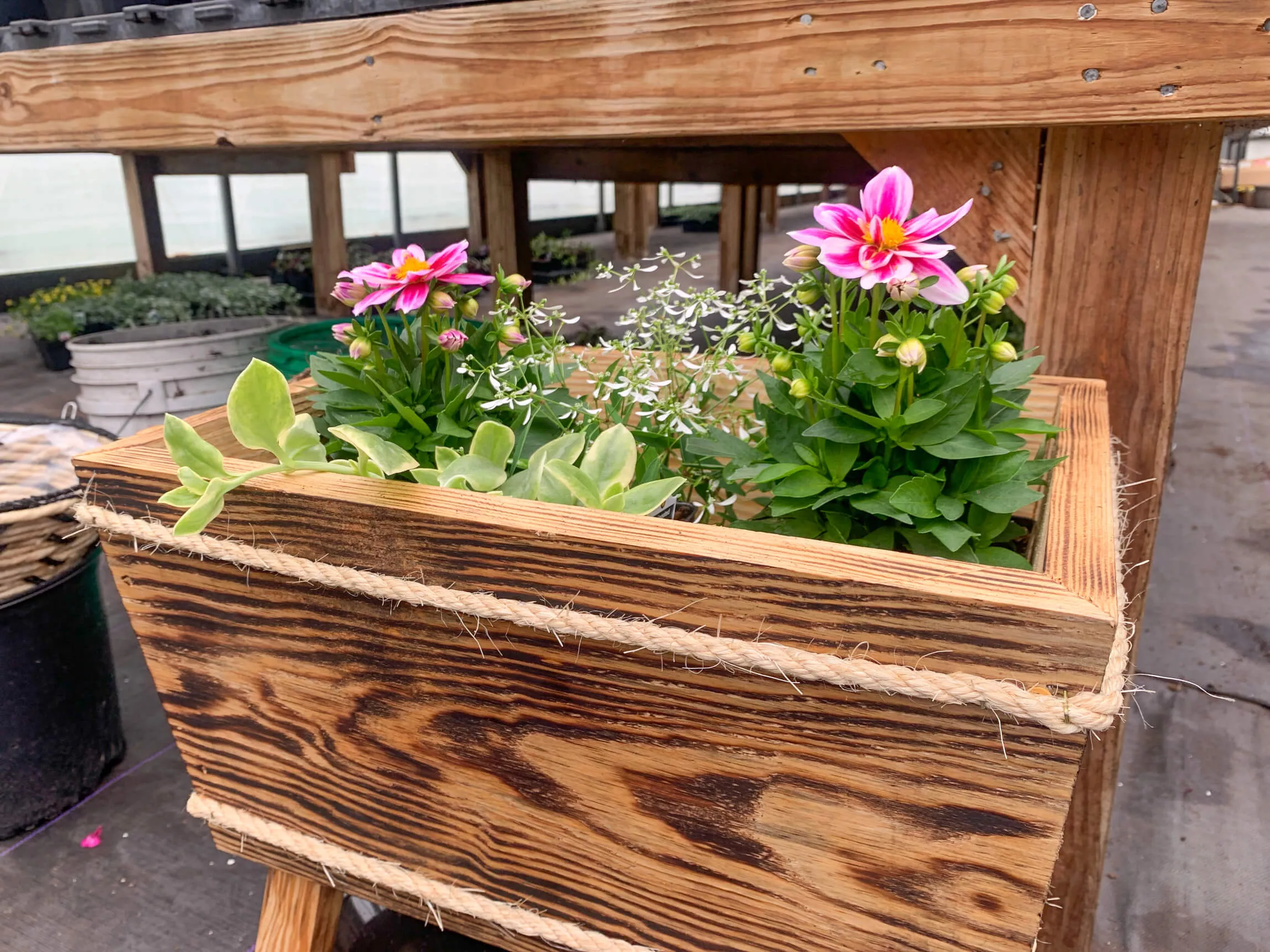 Sharon Hill Greenhouse Just Plain Business