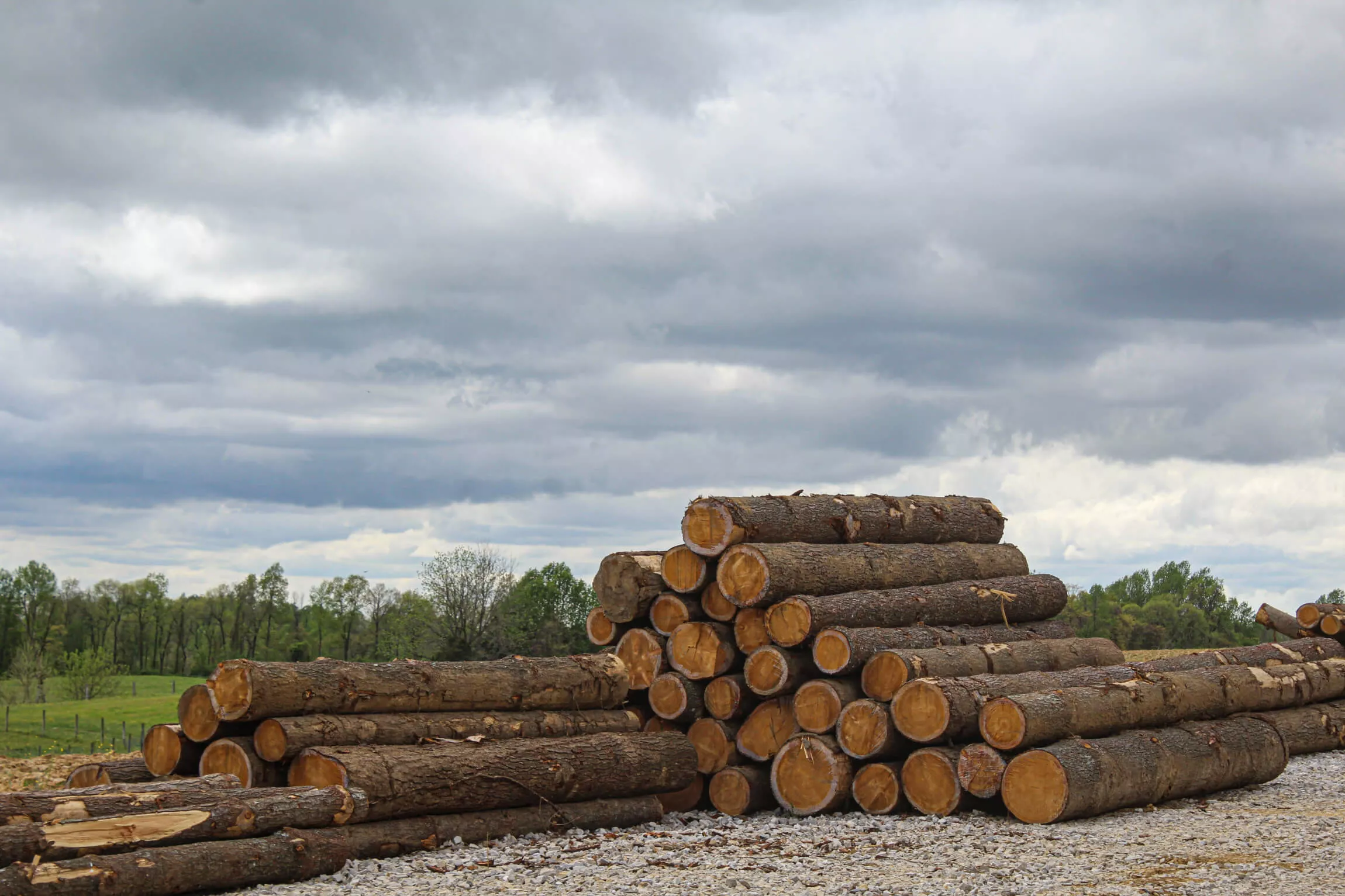 Windy Ridge Sawmill and Lumber Just Plain Business