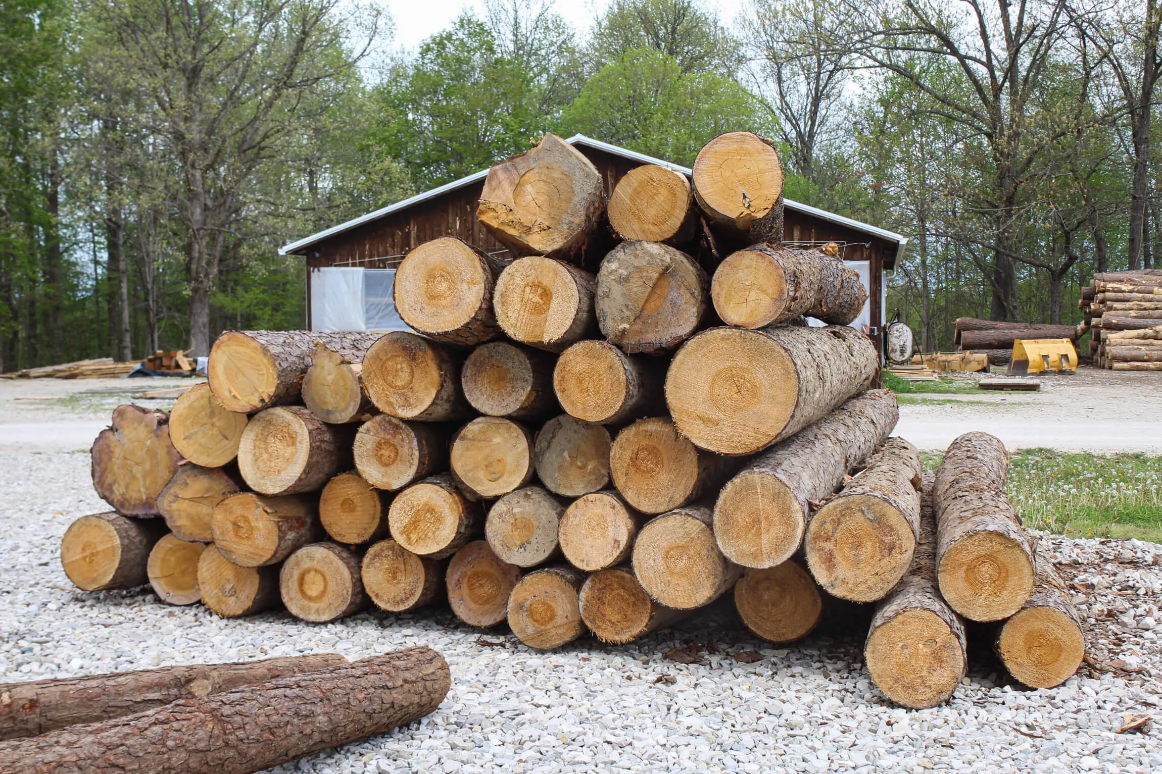 Windy Ridge Sawmill and Lumber Just Plain Business