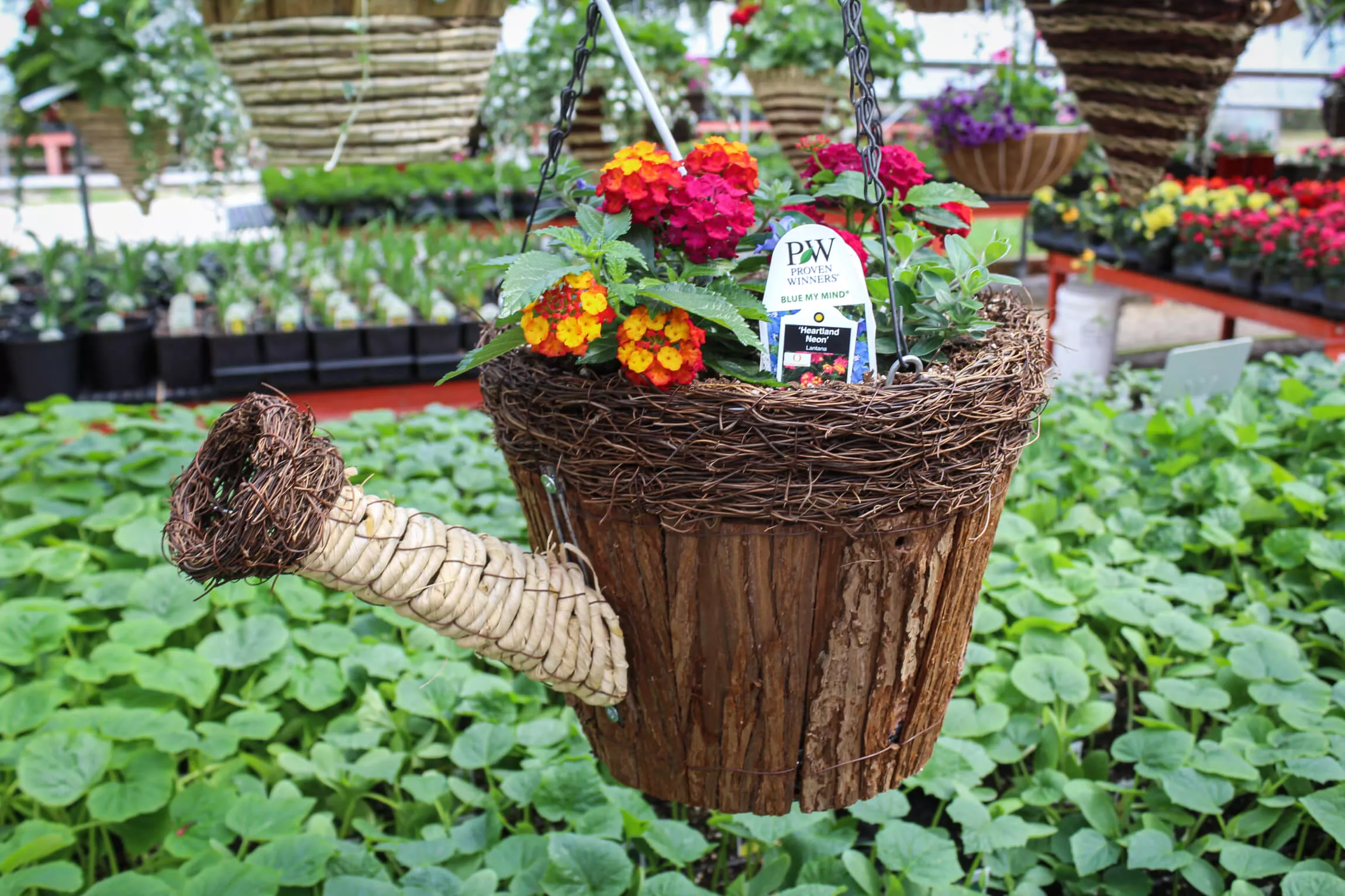 Windy Ridge Greenhouse Just Plain Business