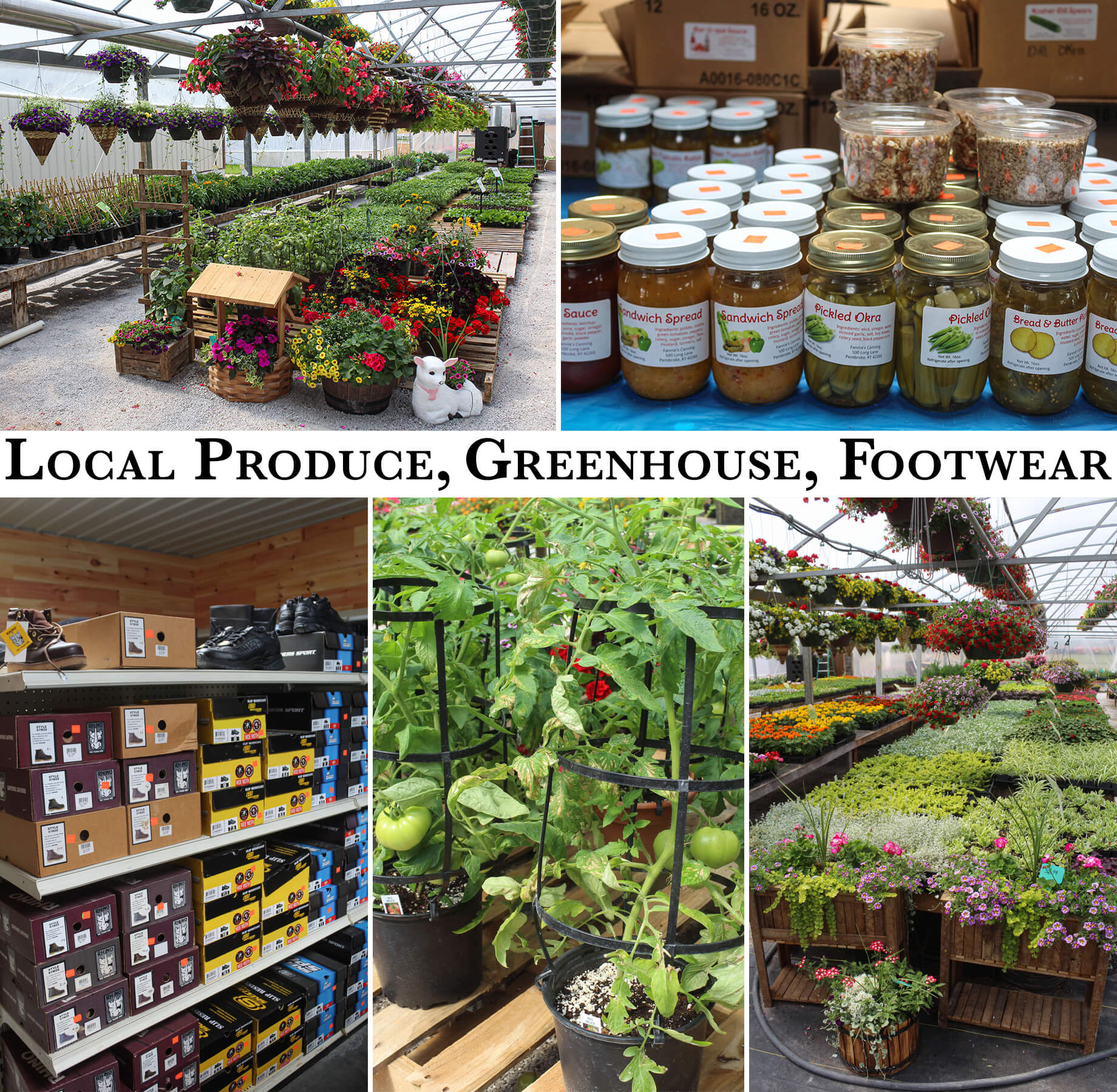 Collage of Meadow View Market's Products