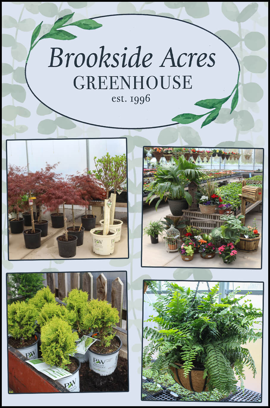 Collage of Brookside Acres Greenhouse's Products