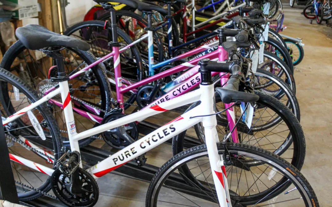 H & H Bicycles Liberty Kentucky Row of Pure Cycles Bikes at Bike Shop