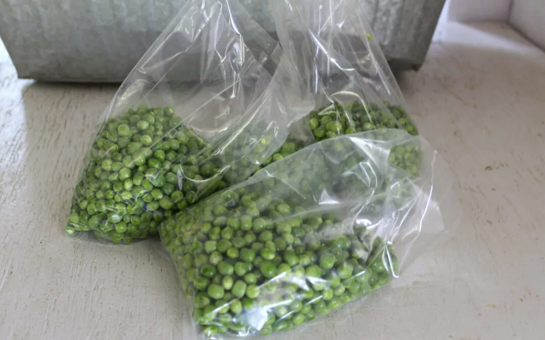 Chub Run Produce Mill Hall, PA Freshly Picked Organic Peas at Farm Market