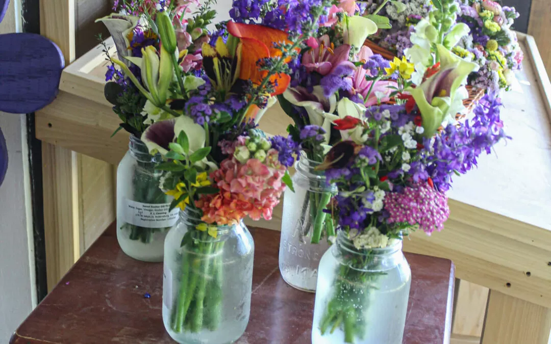 Chub Run Produce Mill Hall, PA Vases of Freshly Picked Flowers at Farm Market