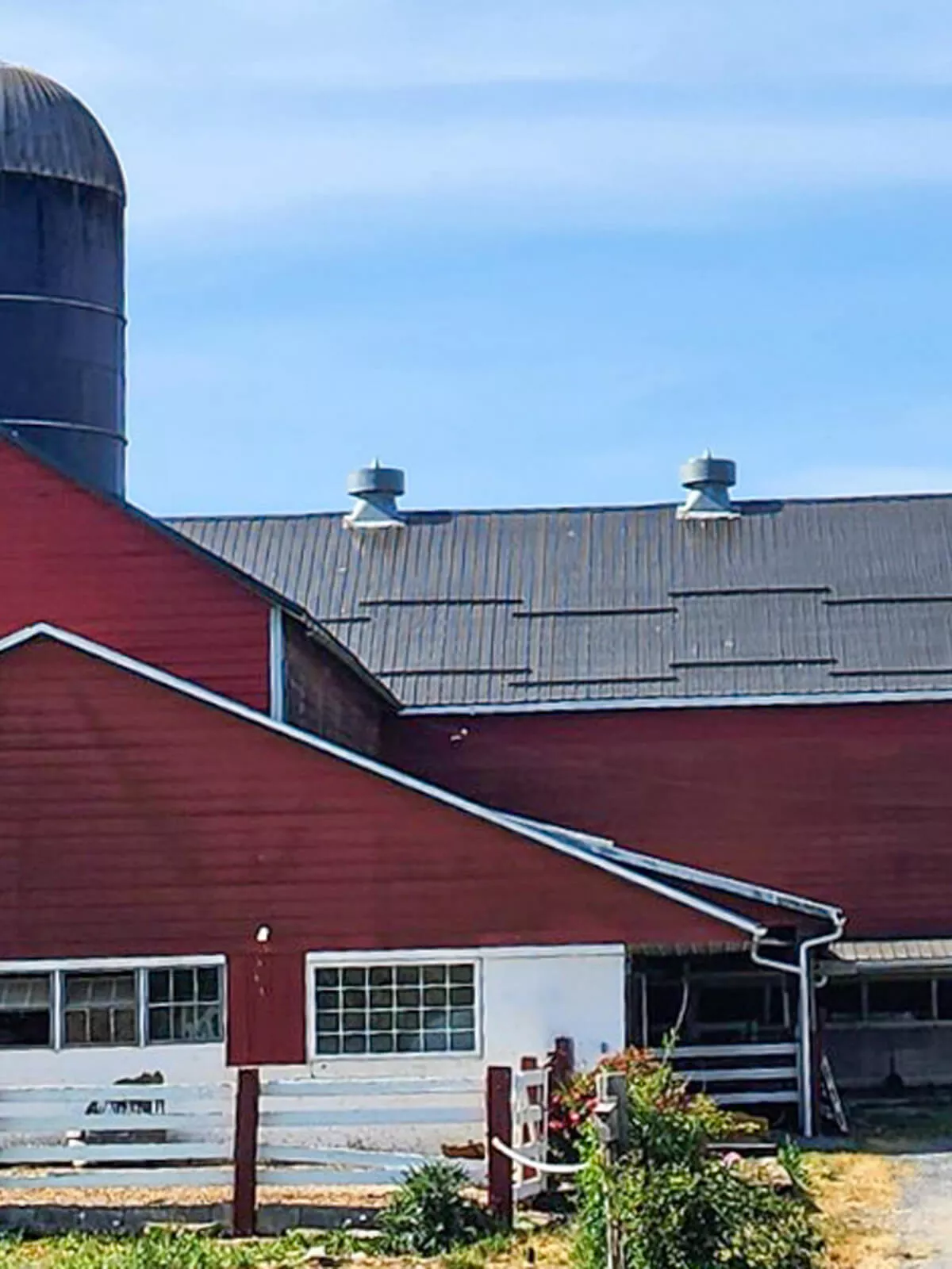 PREMEX Metal Roofing, Siding, & Trim Mifflinburg, PA Barn with New Metal Roof