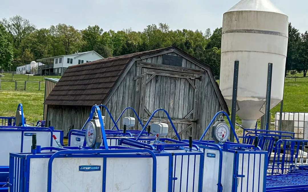 Schmucker's Livestock Handling Horse Cave, Kentucky Marweld Analog Scales