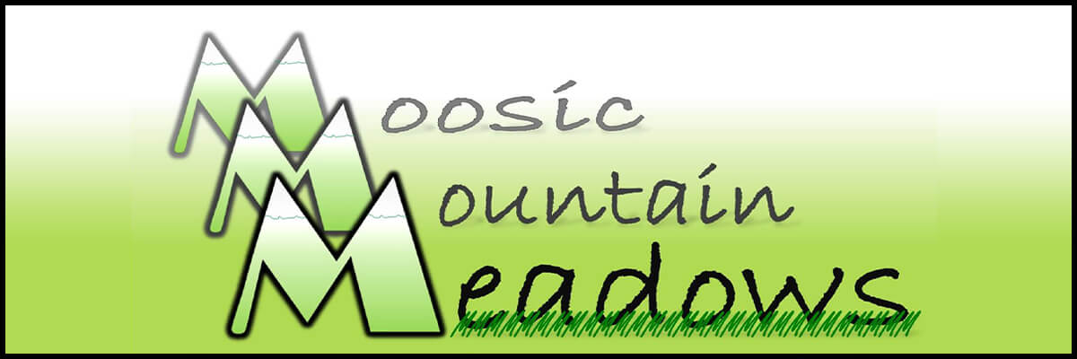 Moosic Mountain Meadows Farm Market's Logo