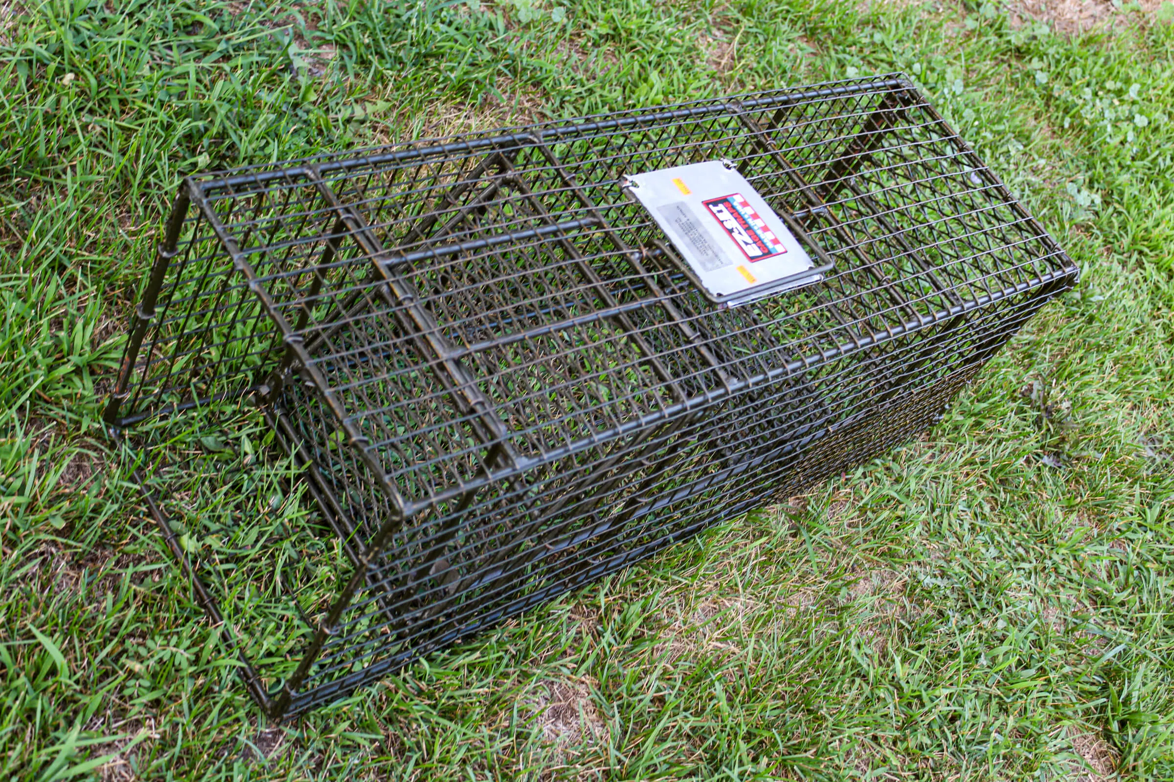 EZSet Cage Traps Just Plain Business