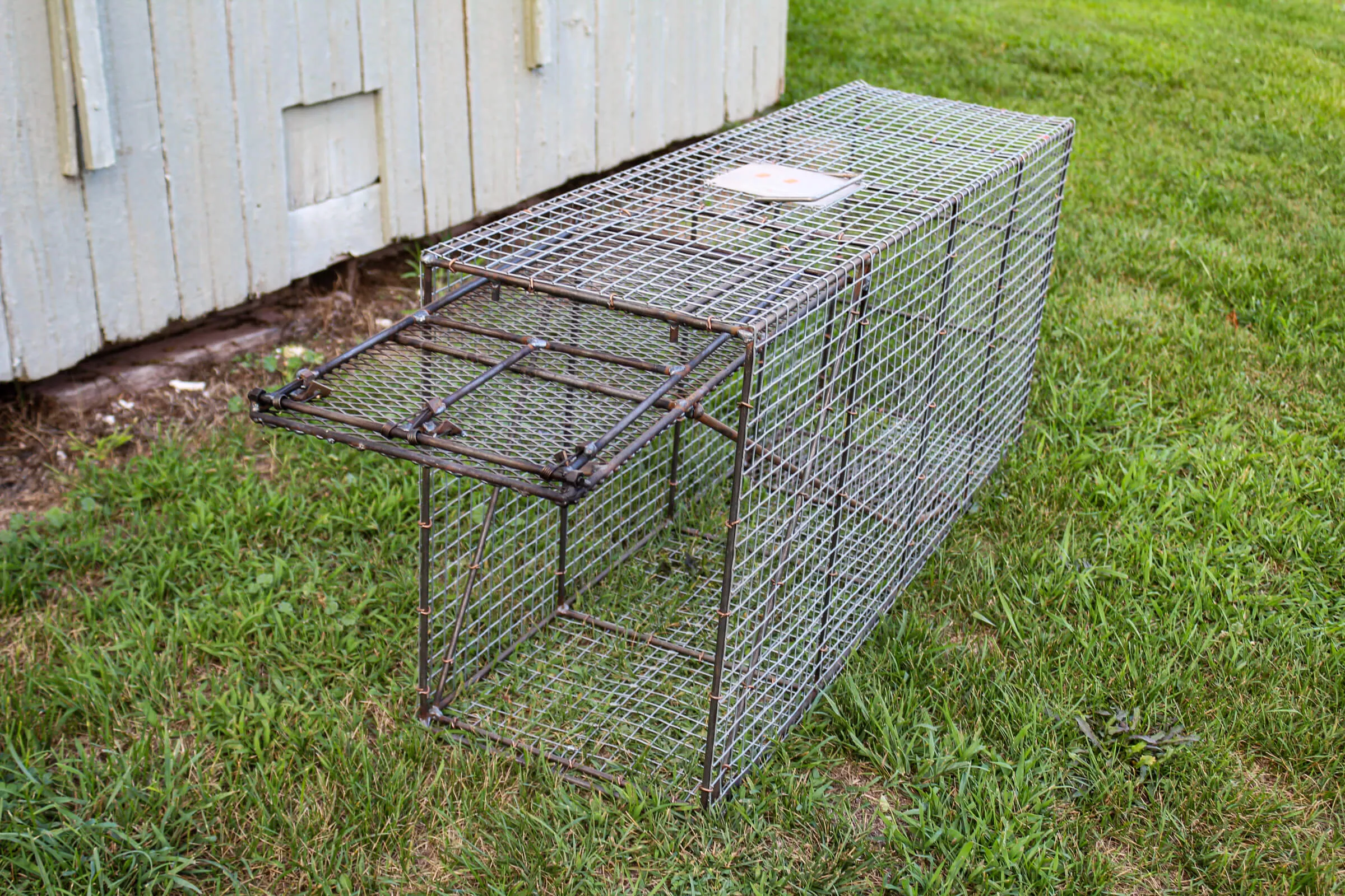 EZSet Cage Traps Just Plain Business