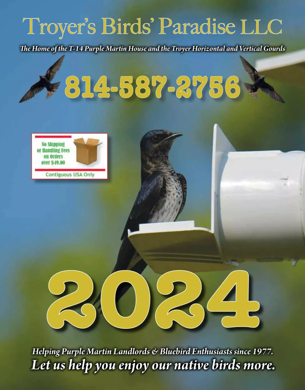 Troyer’s Birds’ Paradise Just Plain Business