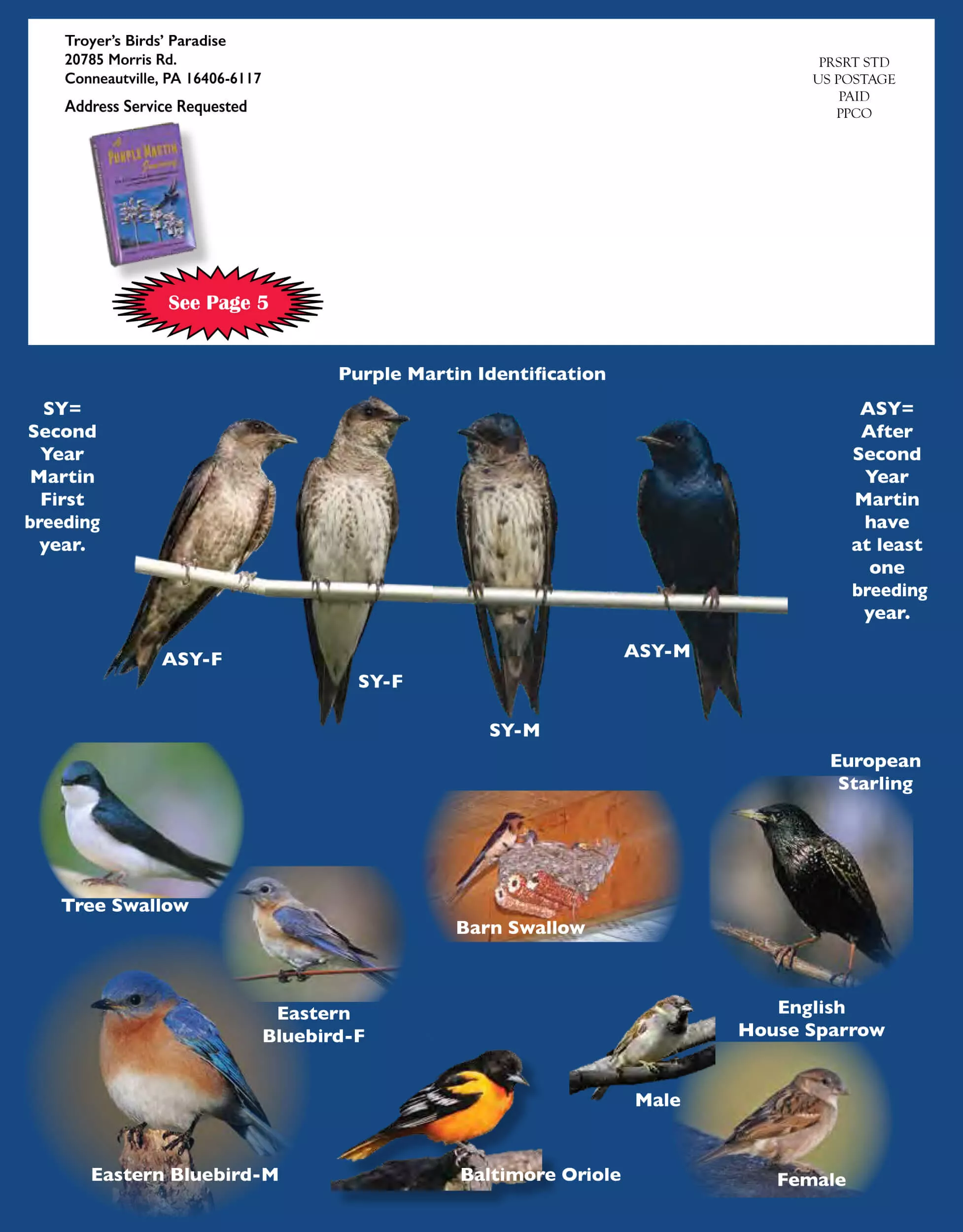 Troyer’s Birds’ Paradise Just Plain Business