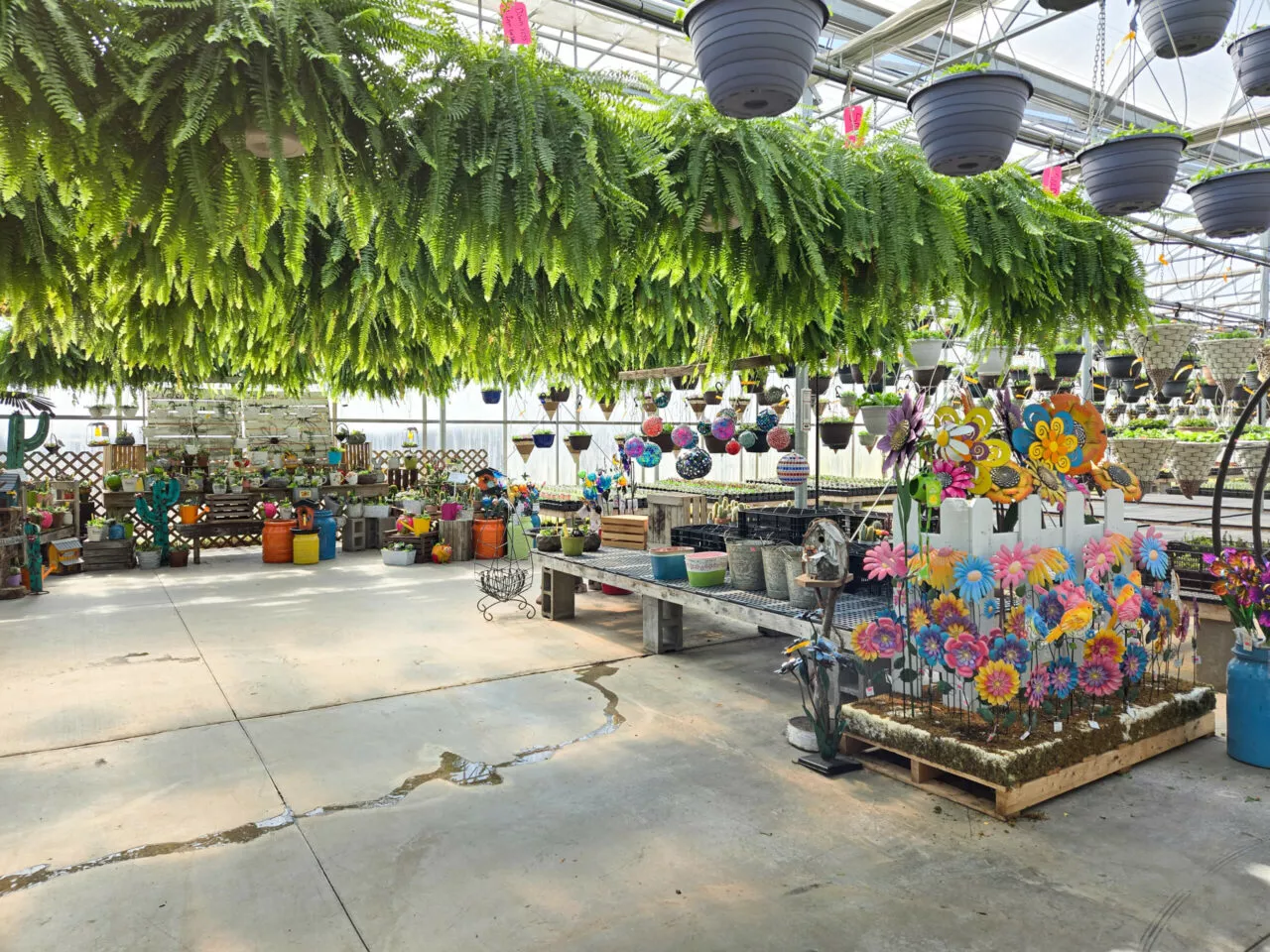 Posy Patch Greenhouse Just Plain Business