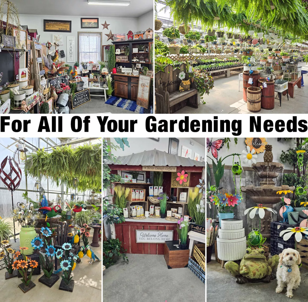 Posy Patch Greenhouse Just Plain Business