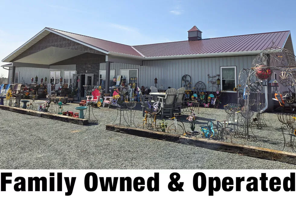 Posy Patch Greenhouse Just Plain Business