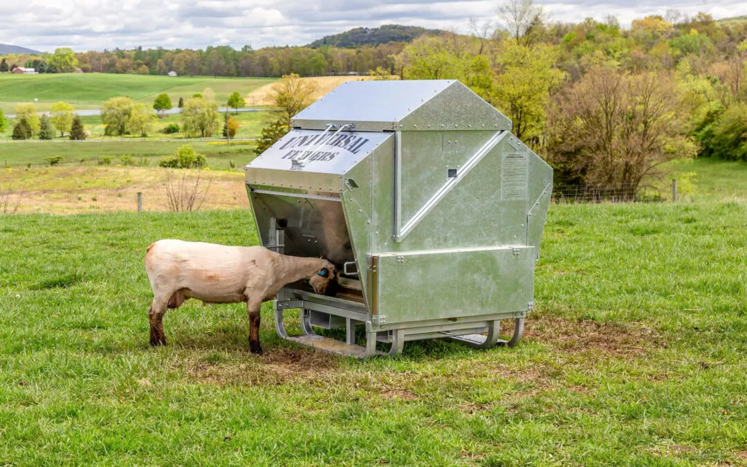 Schmucker's Livestock Handling Horse Cave, Kentucky A sheep using a metallic, automated feeding machine in a lush green pasture with rolling hills in the background.