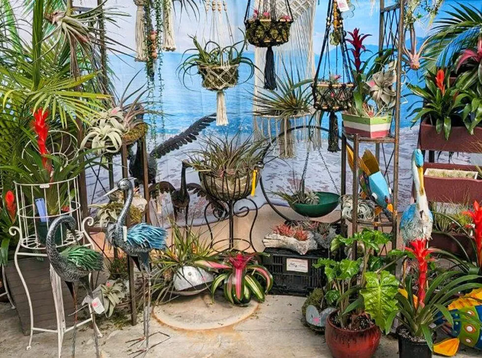 Posy Patch Greenhouse Just Plain Business