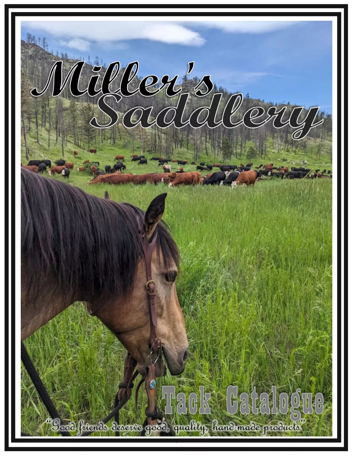 Miller's Saddlery Goshen IN A horse stands in a green field with a herd of cows in the background under a clear blue sky. Text reads "Miller's Saddlery Tack Catalogue" and "Good friends deserve good, quality, handmade products.