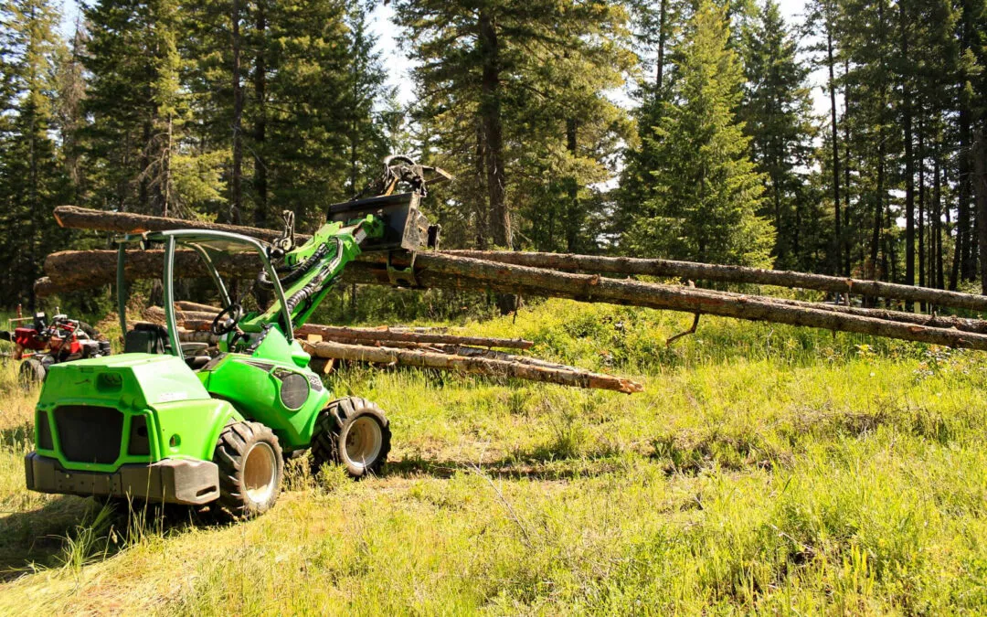 6.24.24 Treeco Gallery 3 A green loader lifts and carries long logs in a forested area on a sunny day, with tall trees surrounding and grass on the ground.