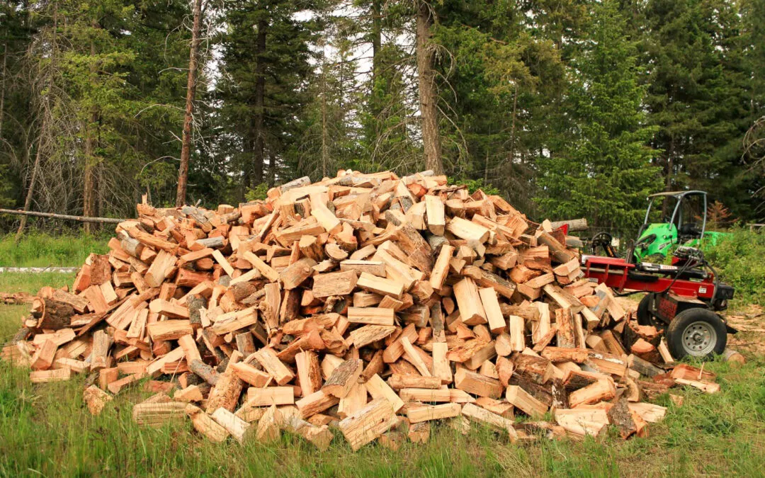 6.24.24 Treeco Gallery 4 A large pile of chopped firewood is stacked on the ground next to a red ATV in a forested area.