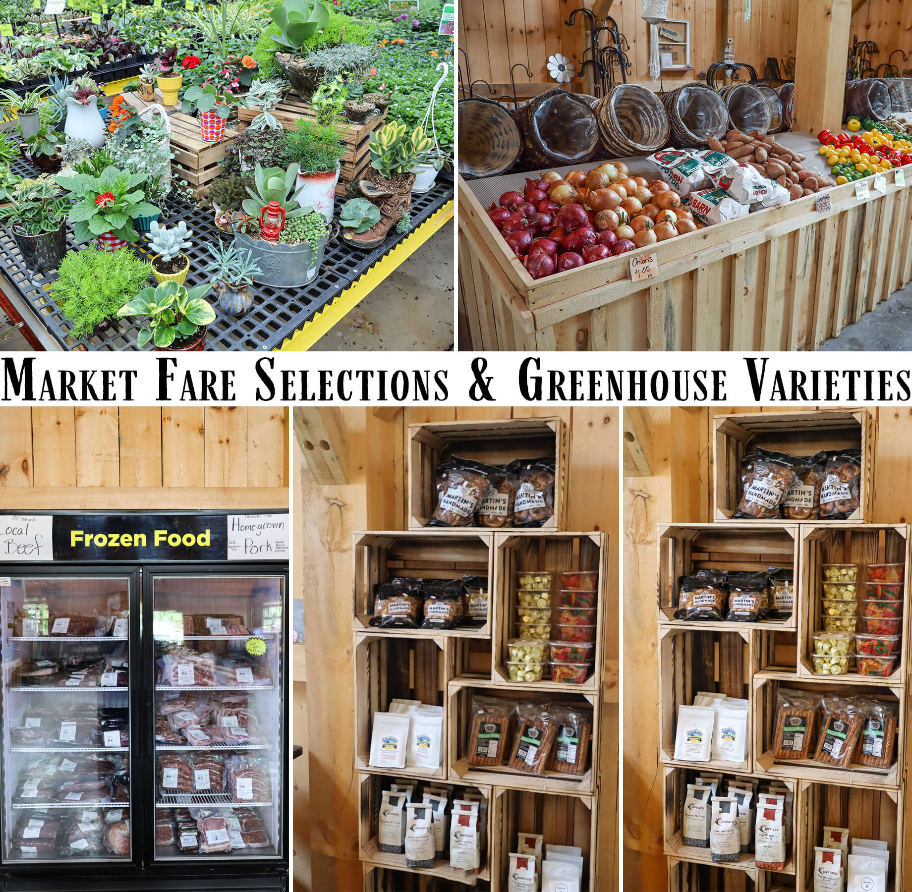 Scenic Vista Farms Watkins Glen NY Collage of market goods: seedlings on a table, fruit and vegetables in baskets, frozen food display, and shelves with packaged items. Text reads "Market Fare Selections & Greenhouse Varieties".