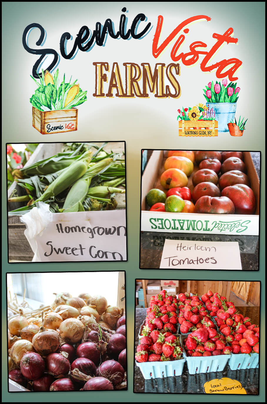 Scenic Vista Farms Watkins Glen NY Image collage showing produce from Scenic Vista Farms: Homegrown sweet corn, heirloom tomatoes, and a selection of onions and strawberries, displayed on a colorful background.
