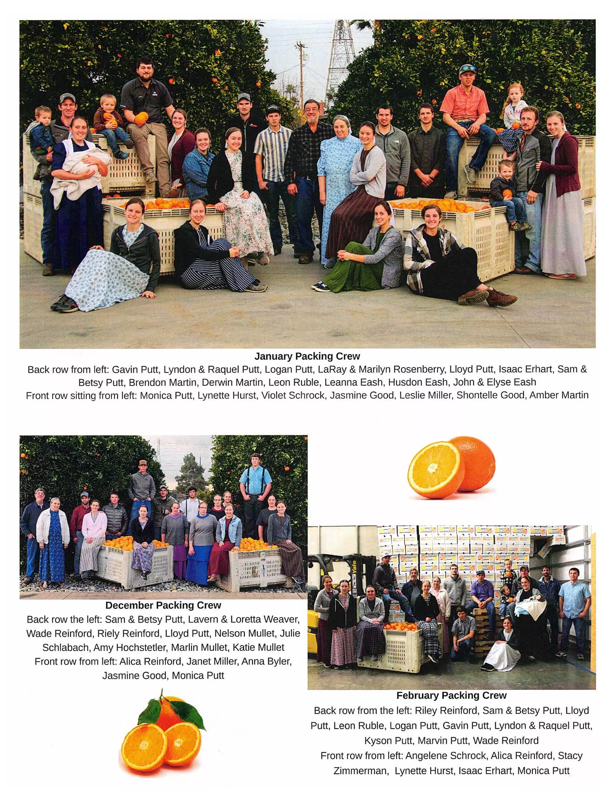 Nolt's Country Market Just Plain Business