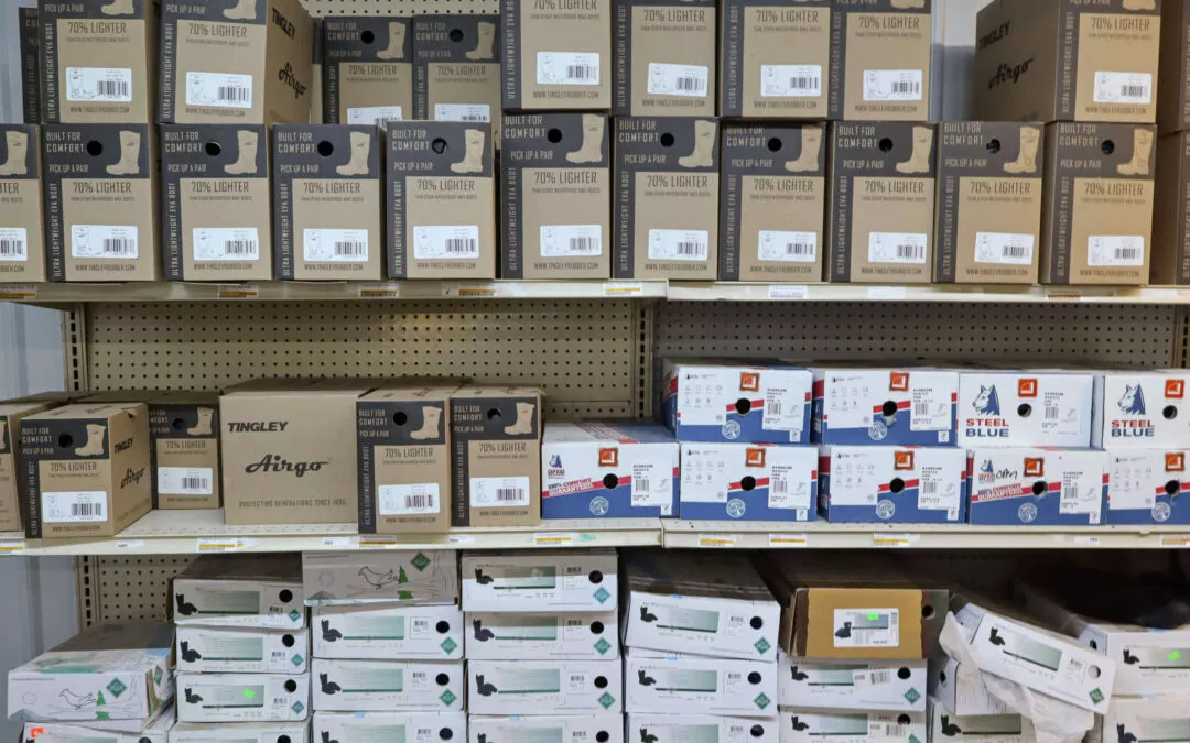 Chippewa Vallaey Dairy Supply Stanley, WI Shelves filled with stacks of shoe boxes in various brands and sizes, organized neatly in a store display.