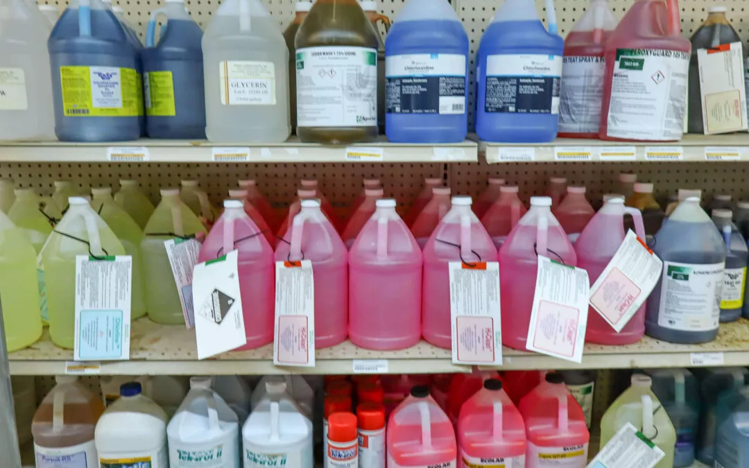 Chippewa Vallaey Dairy Supply Stanley, WI Shelves filled with various gallon-sized containers of cleaning chemicals, organized by color and label, in a store setting.