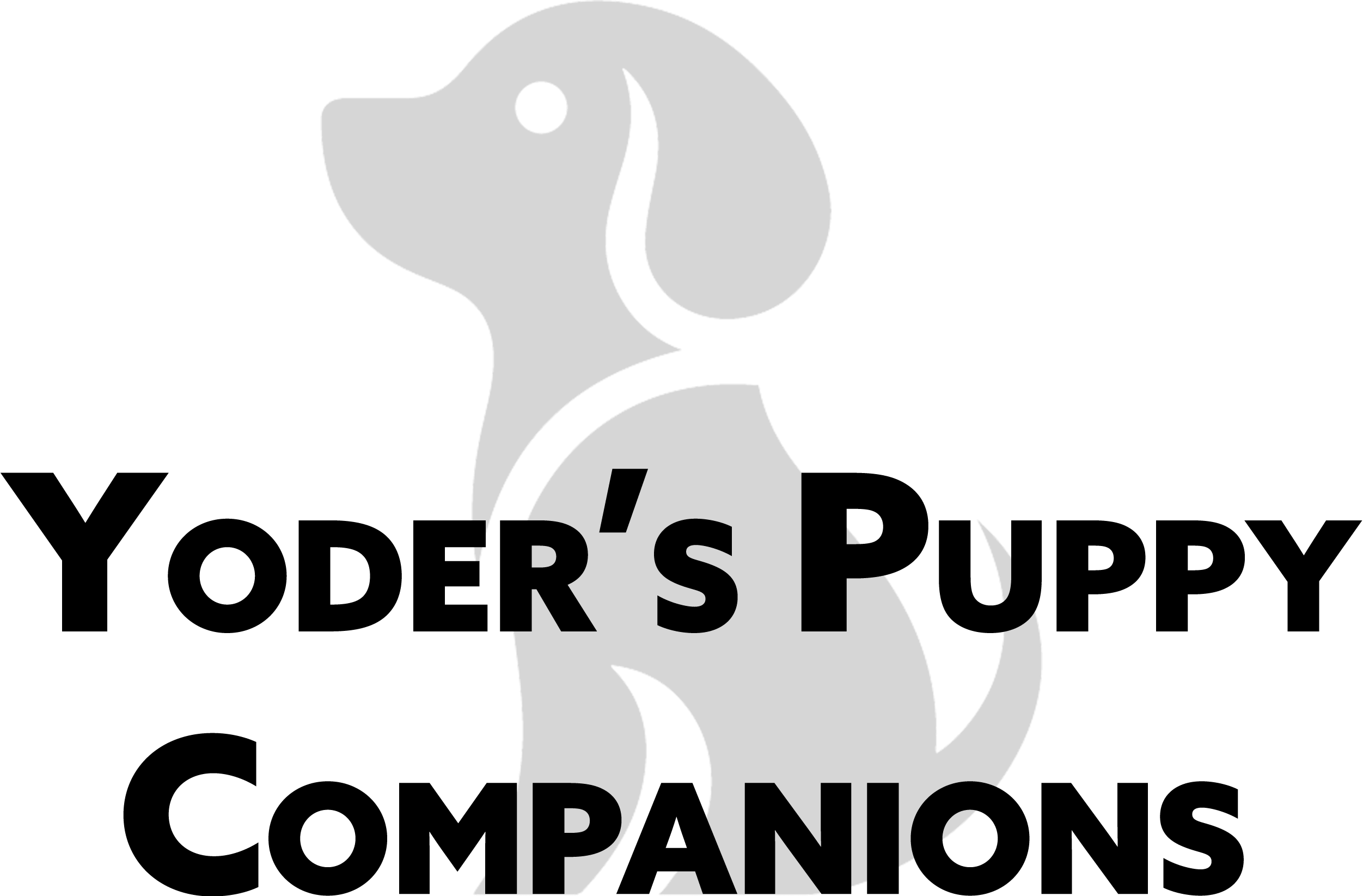 4.18.25 Yoder's Puppy Comanions Logo Simple black outline illustration of a sitting dog facing left, with a visible eye and tail, on a transparent background.