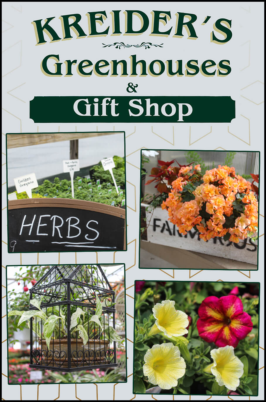 Kreider's Greenhouse Bethel, Pennsylvania Collage of Kreider's Greenhouse's Products