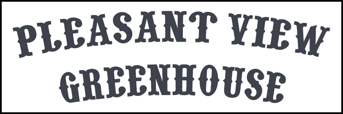 Text in large, bold, stylized font reads 