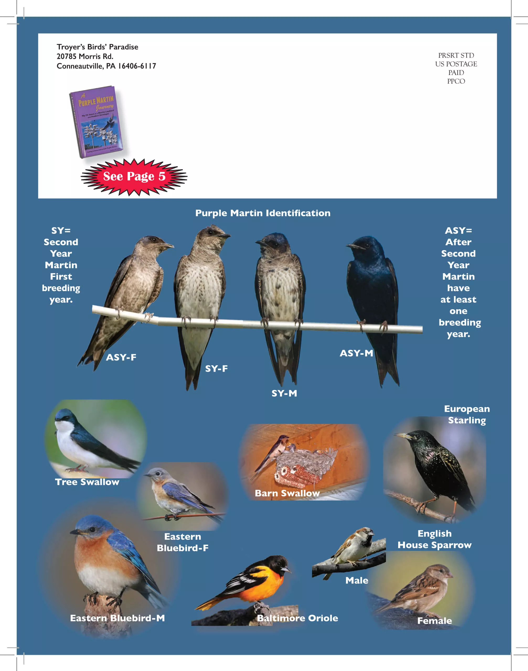 Troyer’s Birds’ Paradise Just Plain Business