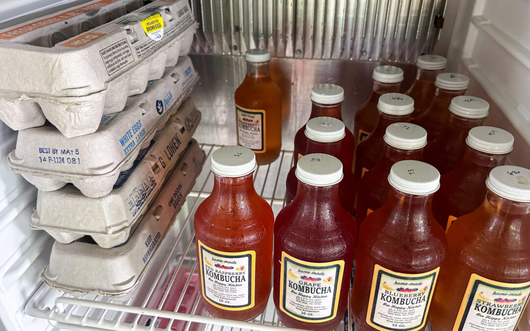 Chub Run Chemical Free Organic Produce Mill Hall PA A refrigerator shelf with three cartons of eggs and eleven bottles of kombucha arranged in rows.