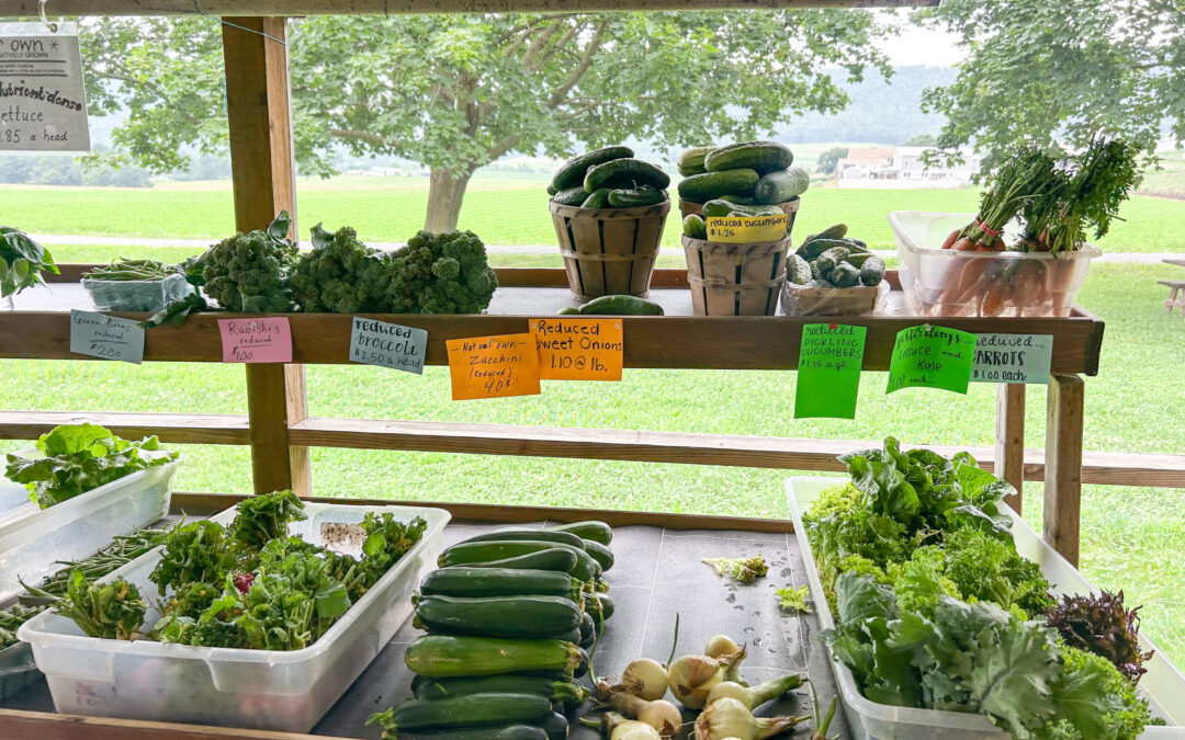 Chub Run Chemical Free Organic Produce Mill Hall PA Assorted fresh vegetables, including lettuce, zucchini, cucumbers, broccoli, and carrots, displayed on trays and baskets at an outdoor farm stand with handwritten price signs.