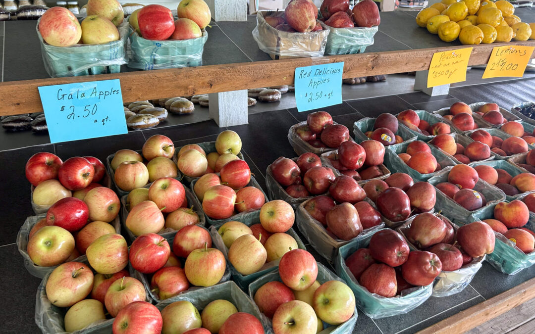 Chub Run Chemical Free Organic Produce Mill Hall PA Baskets of various apples and lemons are displayed on a market counter with price signs for each fruit variety.